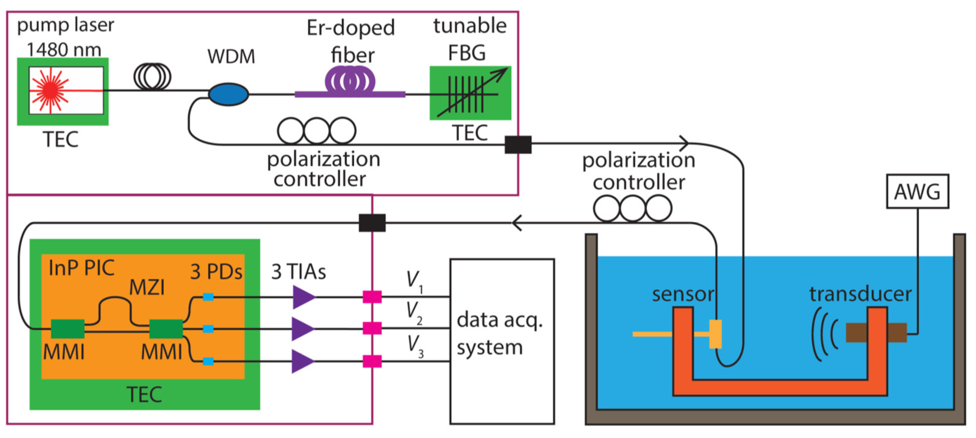 Biosensors 12 01038 g013