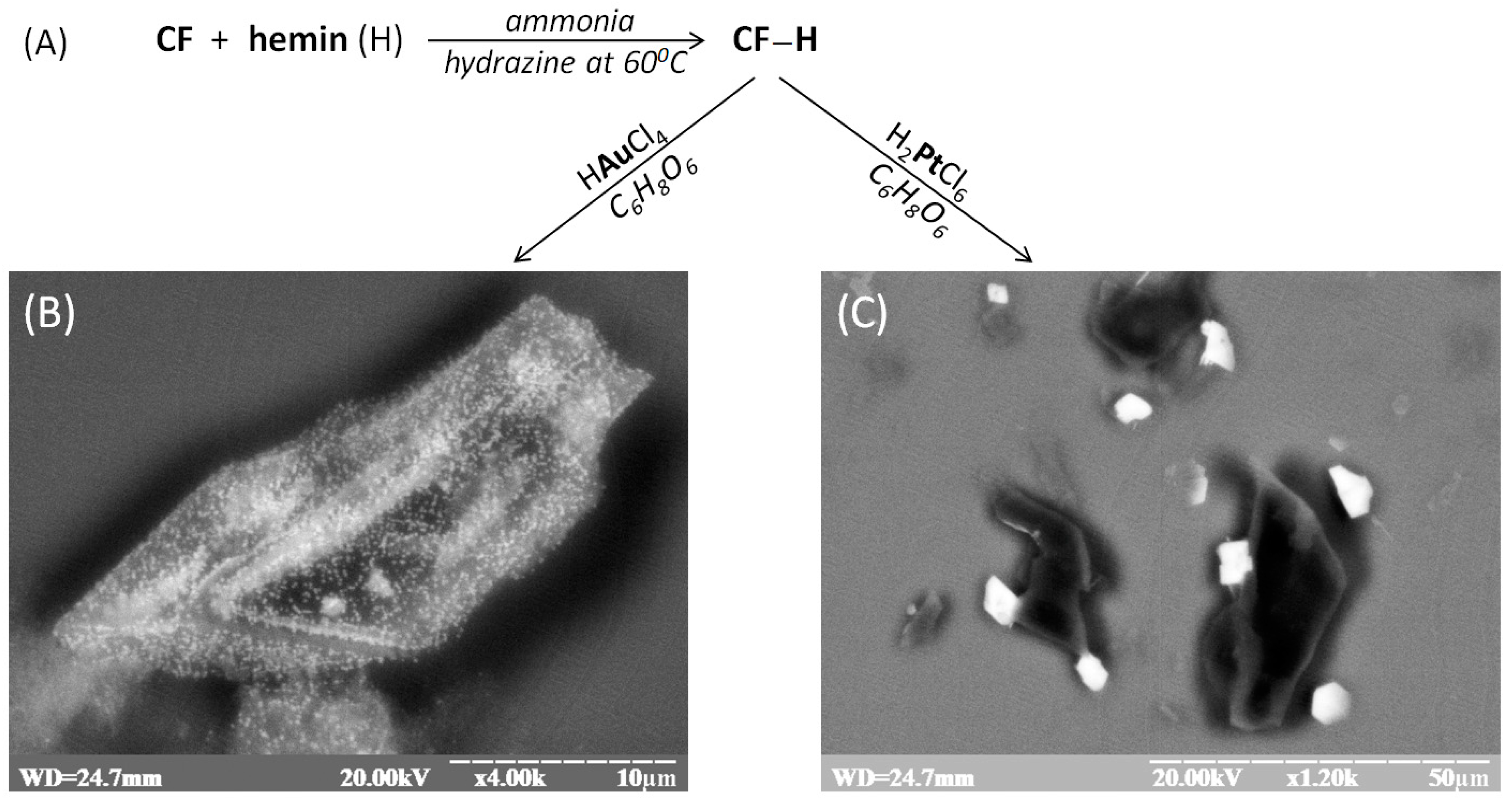 Biosensors 12 01042 g001