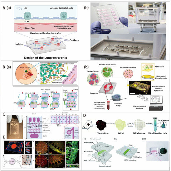 Biosensors 12 01045 g005
