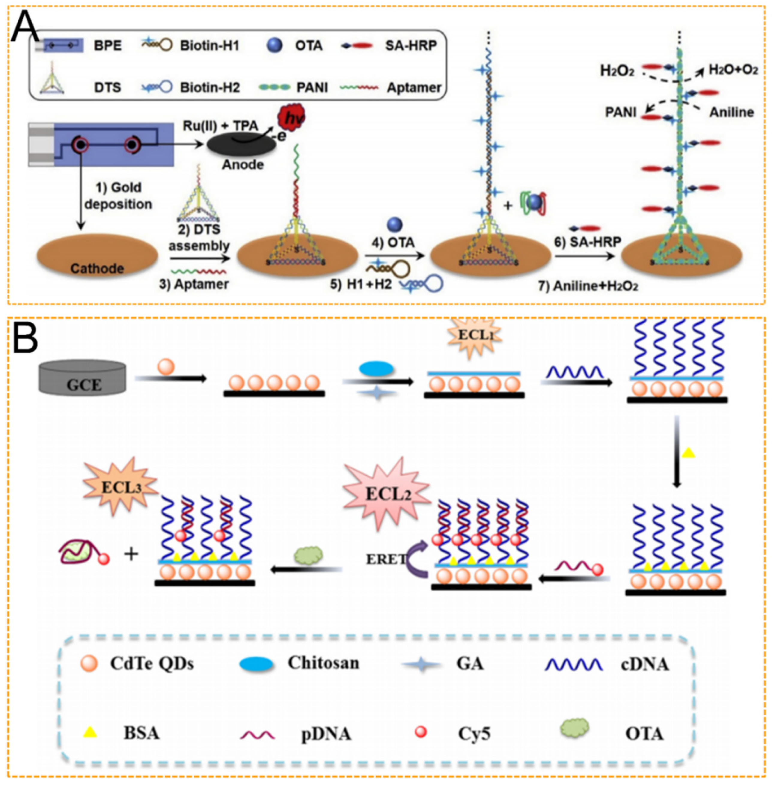 Biosensors 12 01046 g003