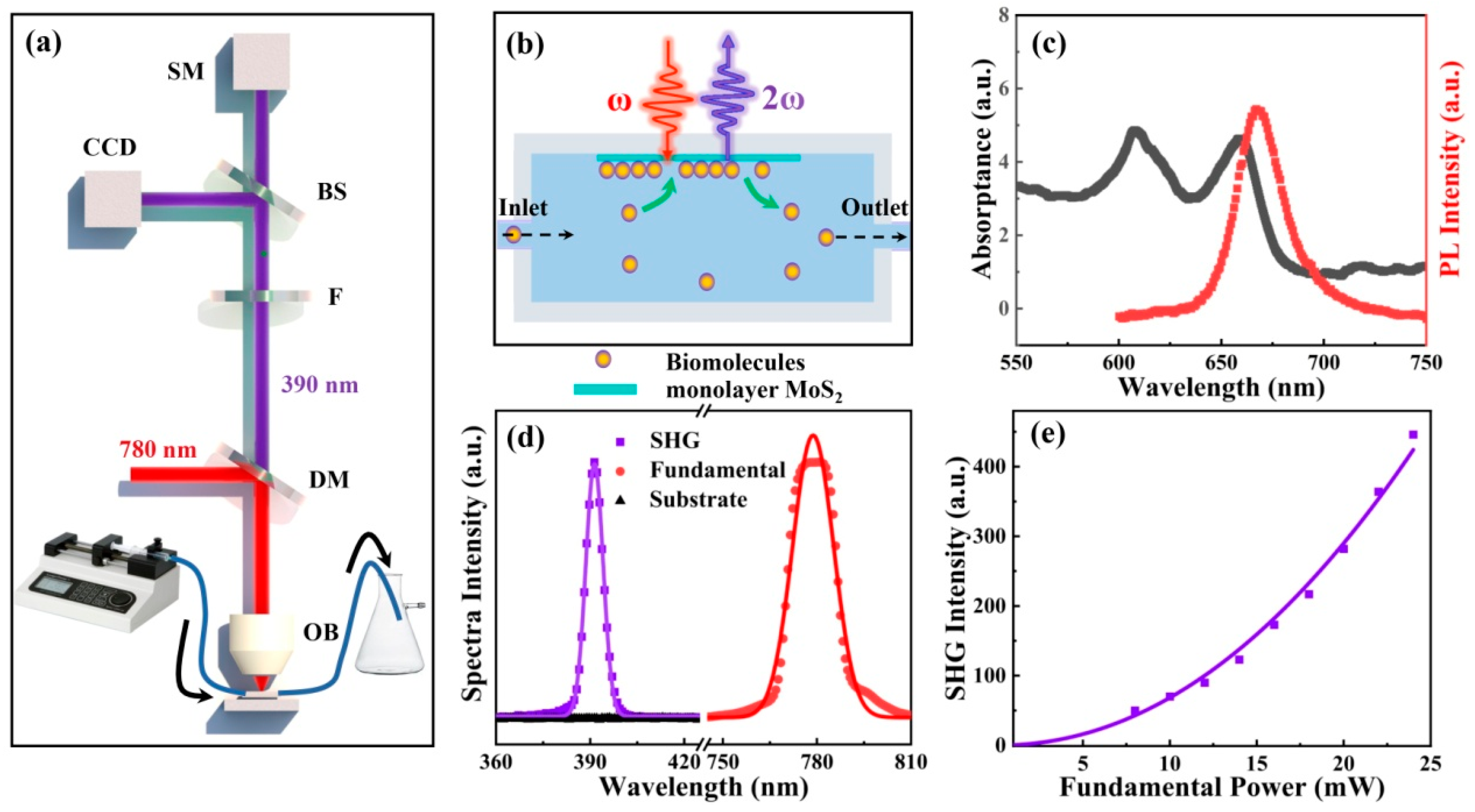 Biosensors 12 01048 g001