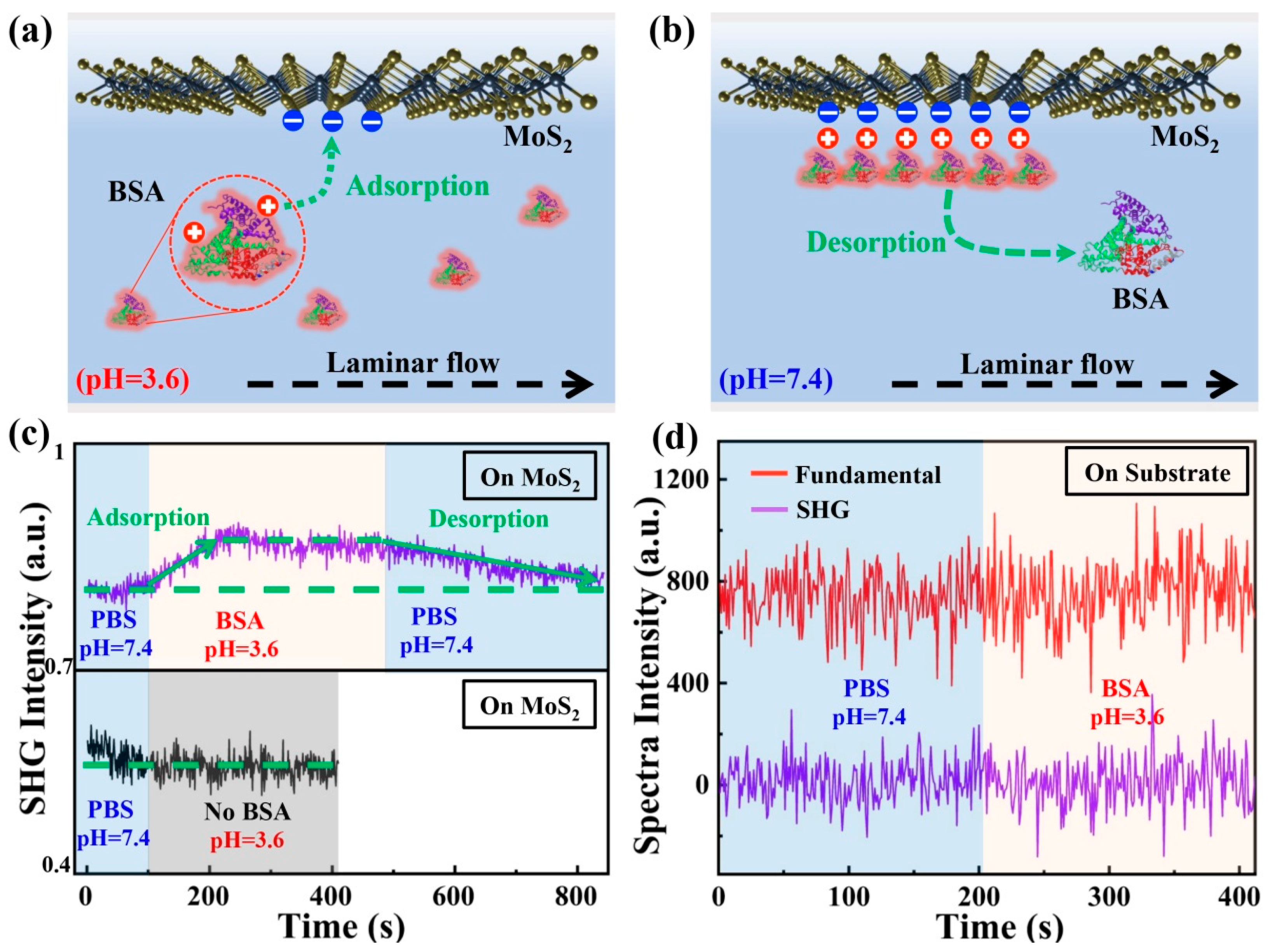 Biosensors 12 01048 g004