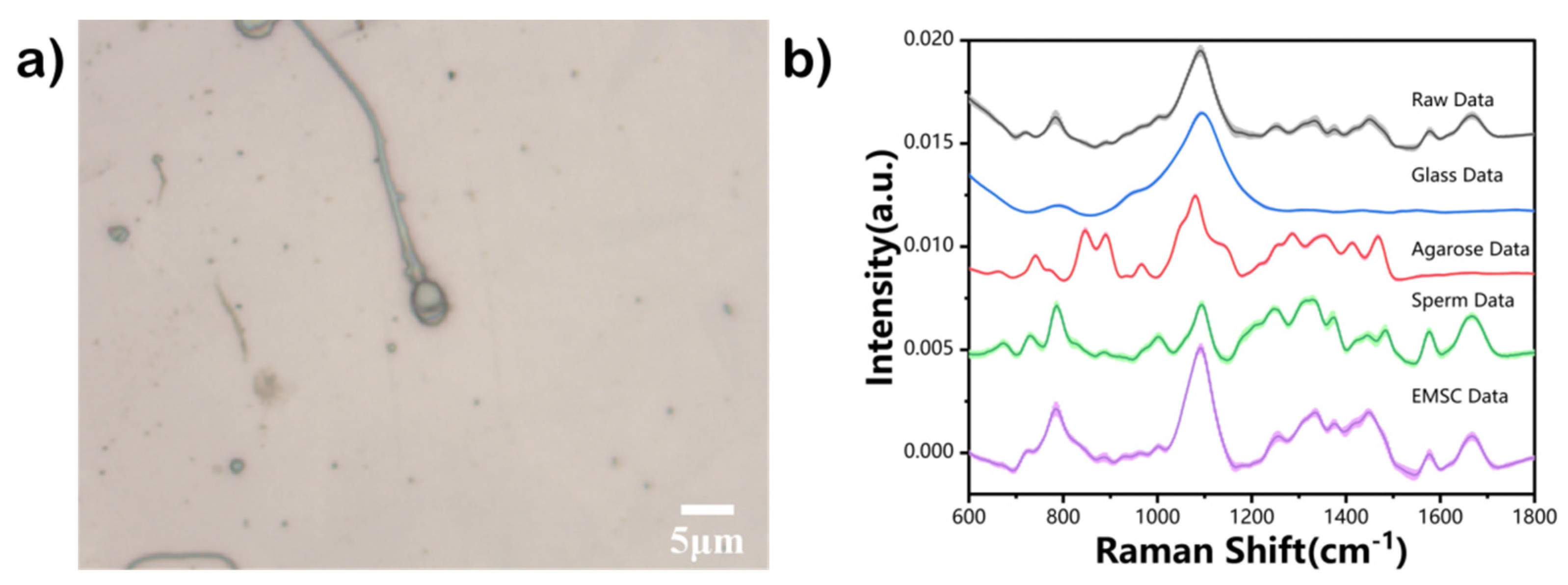 Biosensors 12 01051 g001