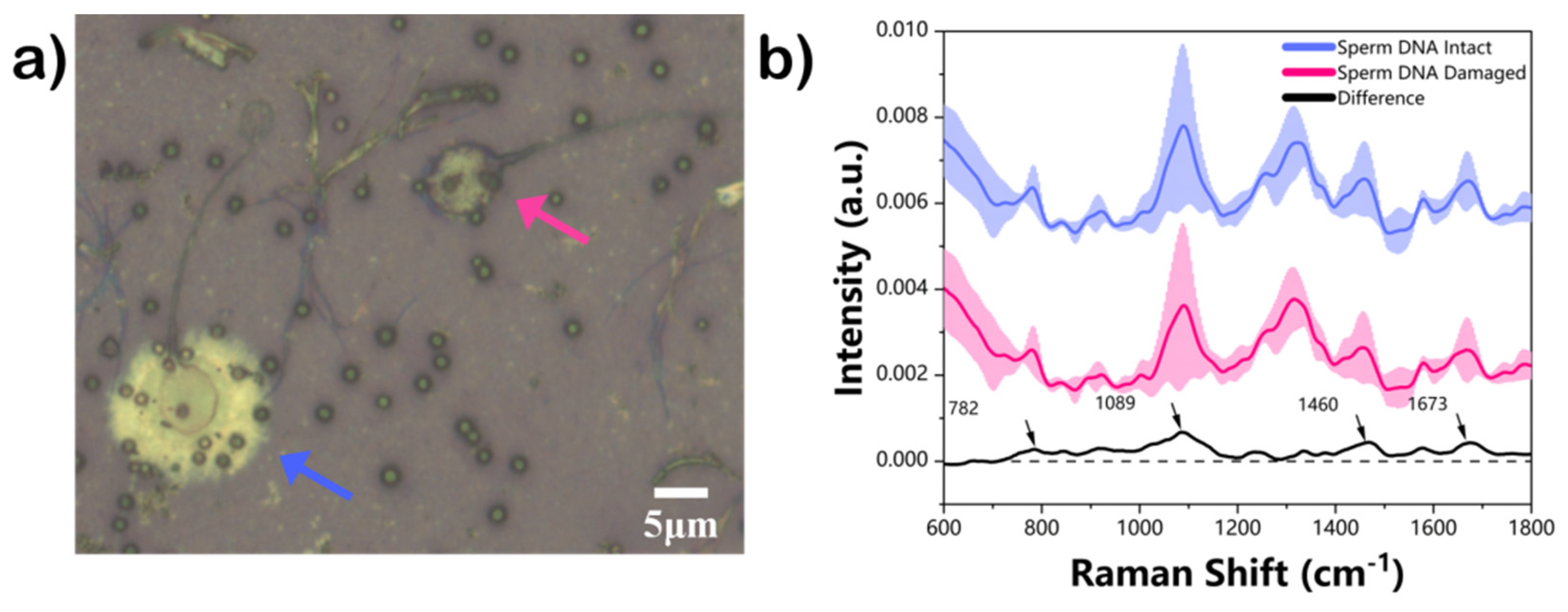 Biosensors 12 01051 g002