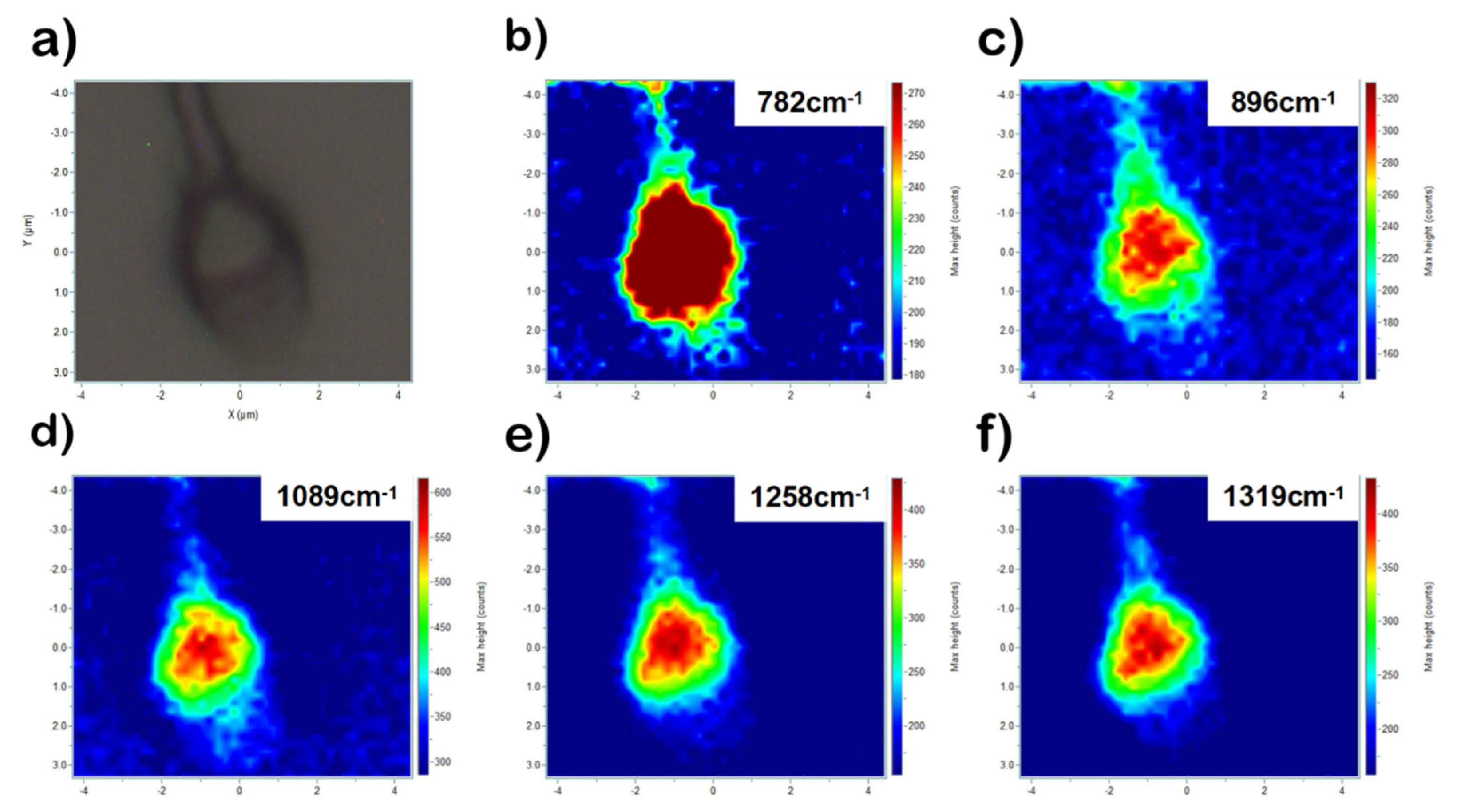Biosensors 12 01051 g003