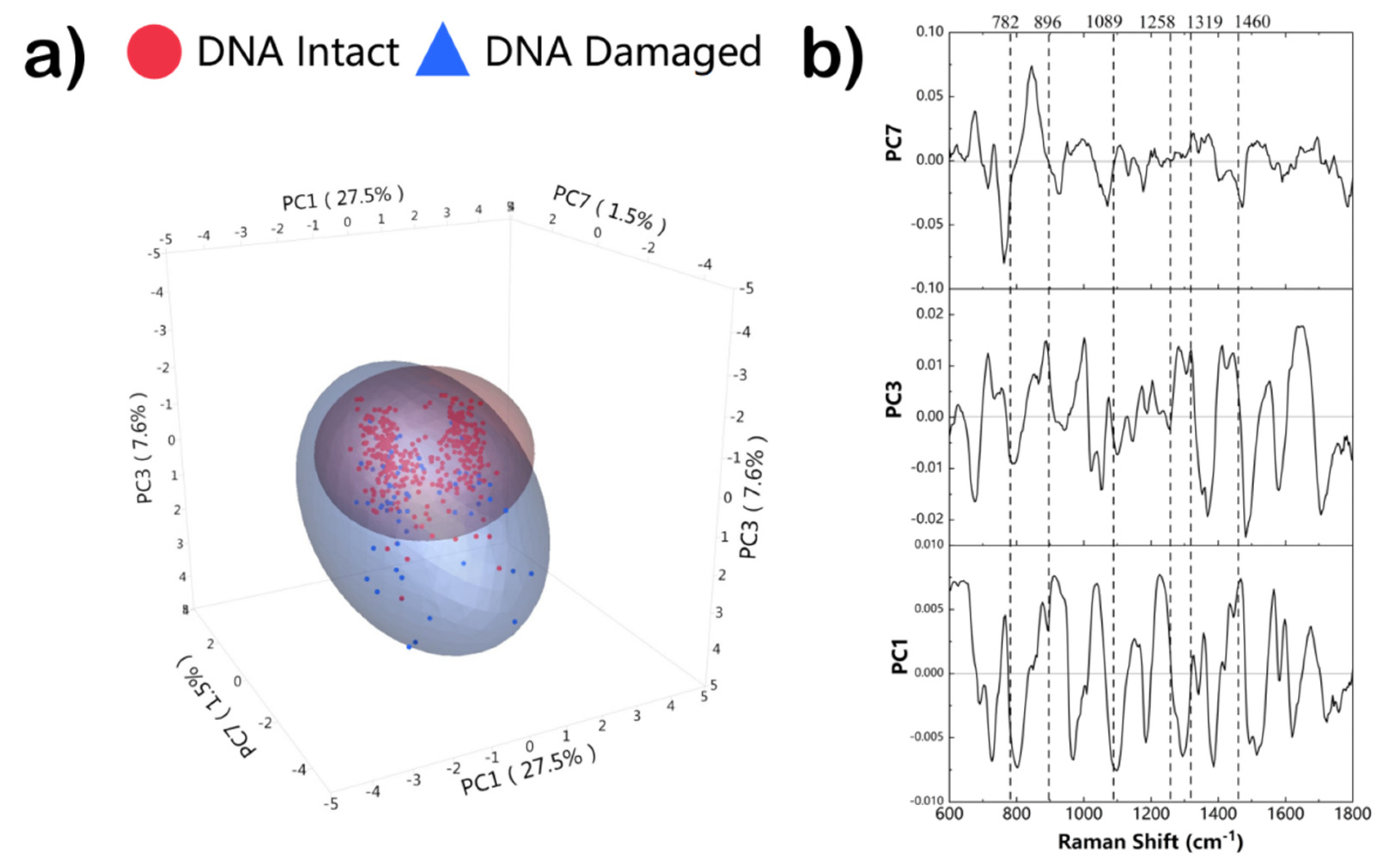 Biosensors 12 01051 g004