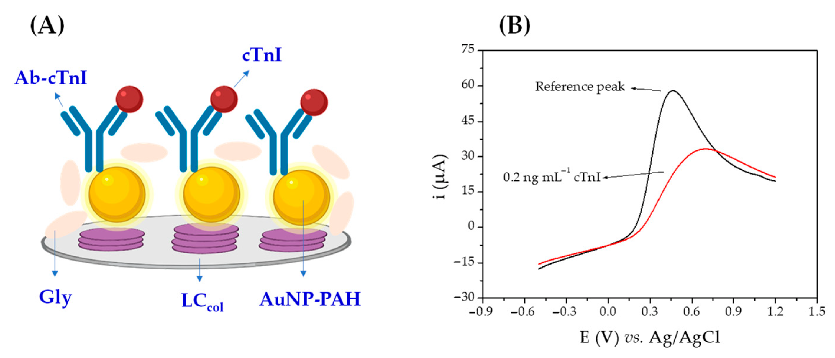 Biosensors 12 01113 g002