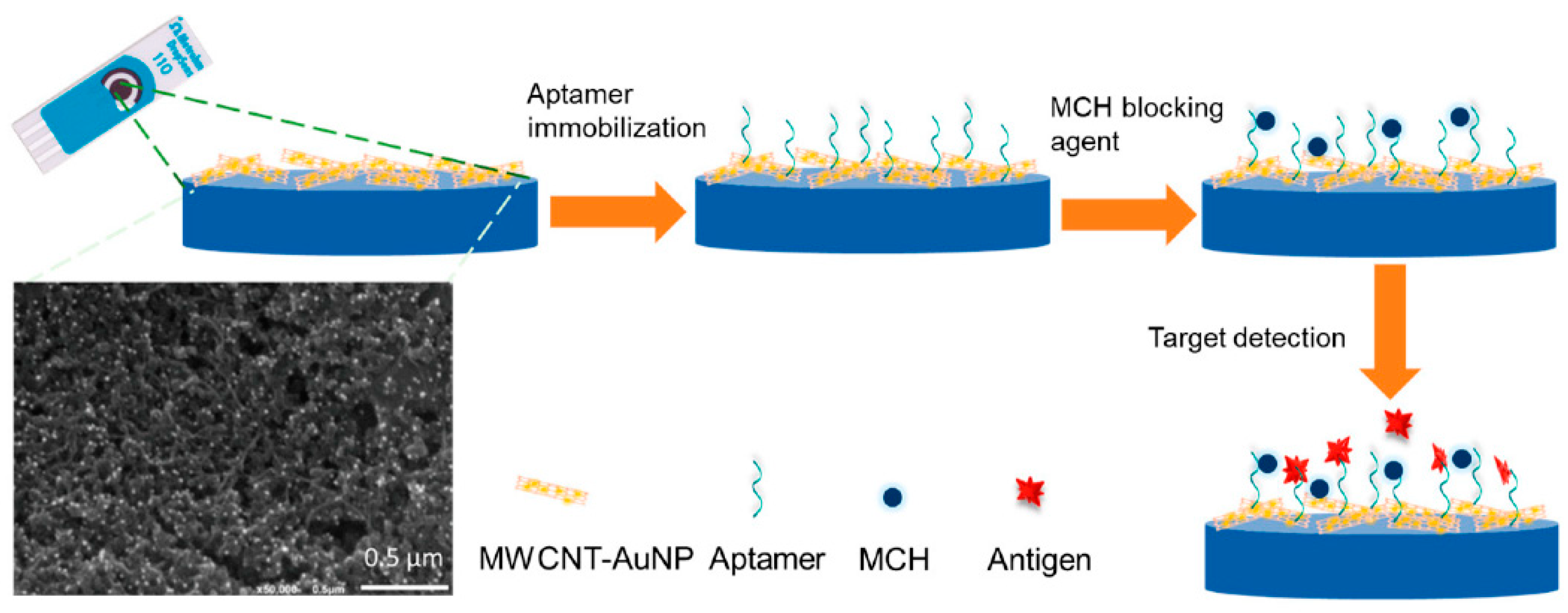 Biosensors 12 01130 g001