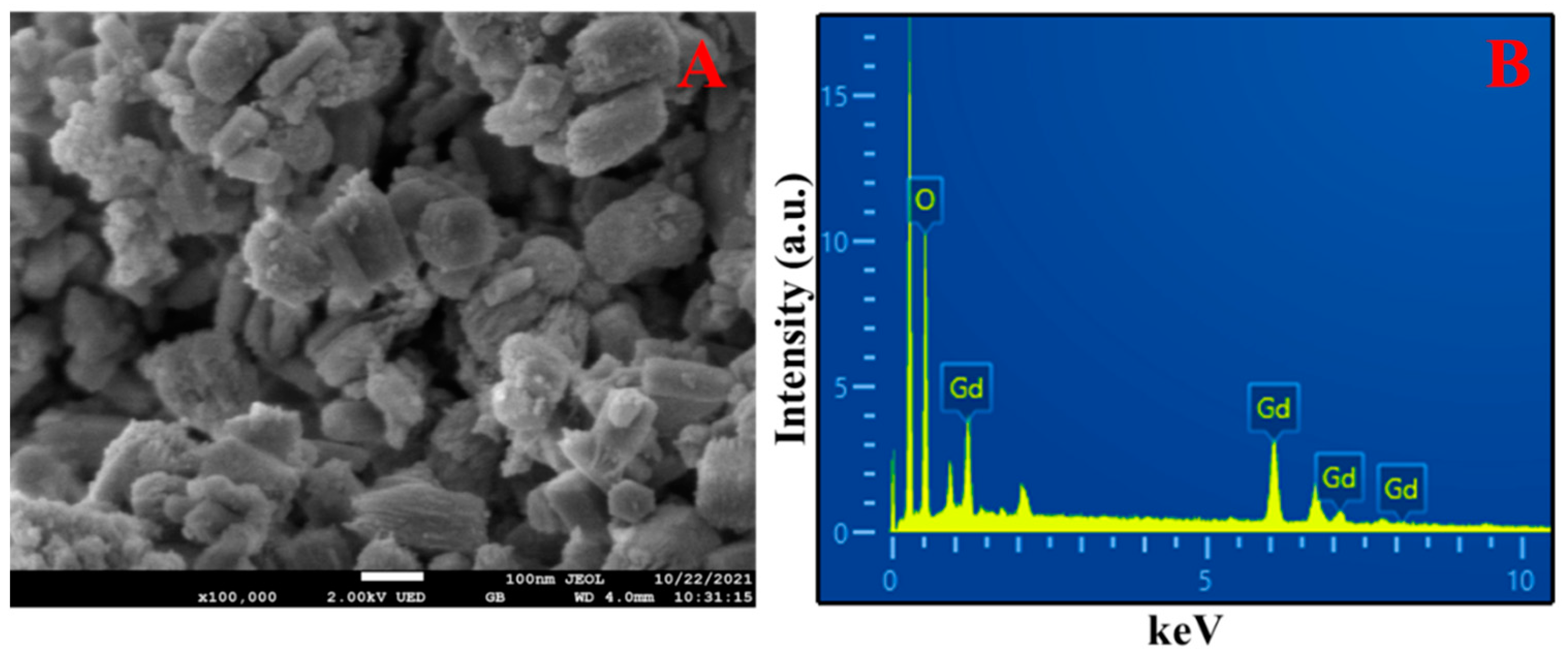 Biosensors 12 01141 g001