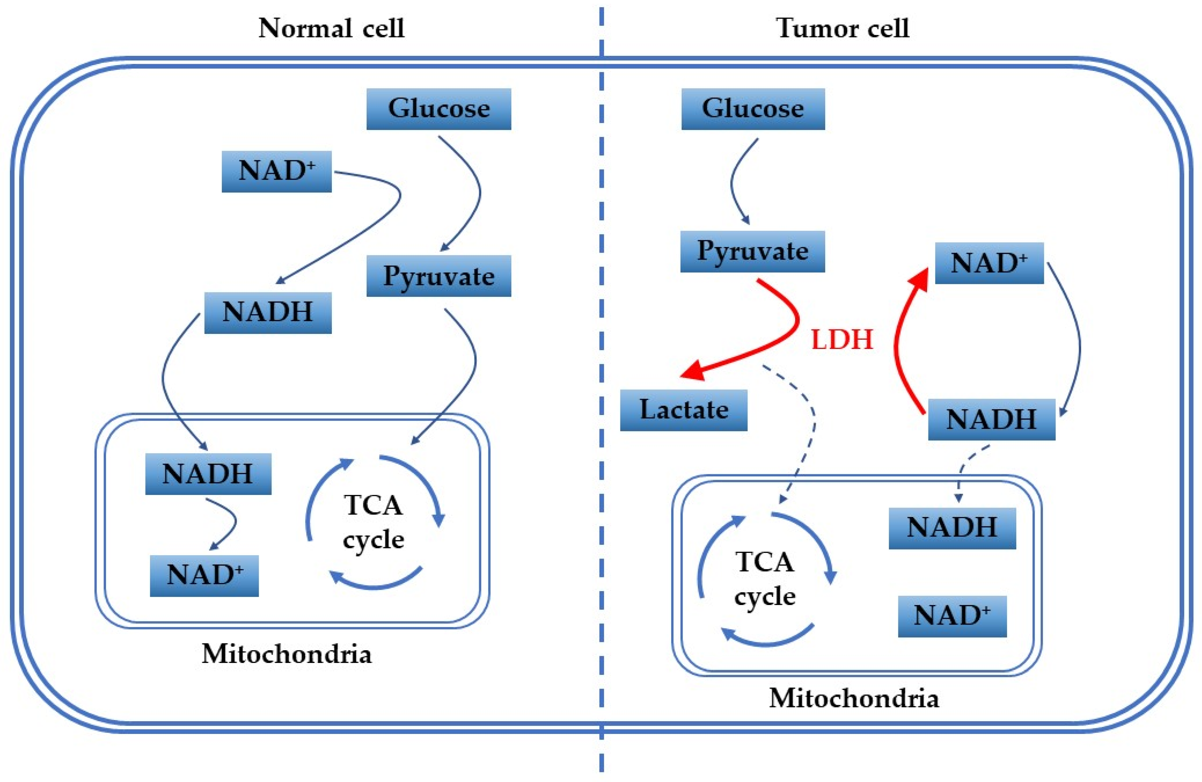 Biosensors 12 01145 g001