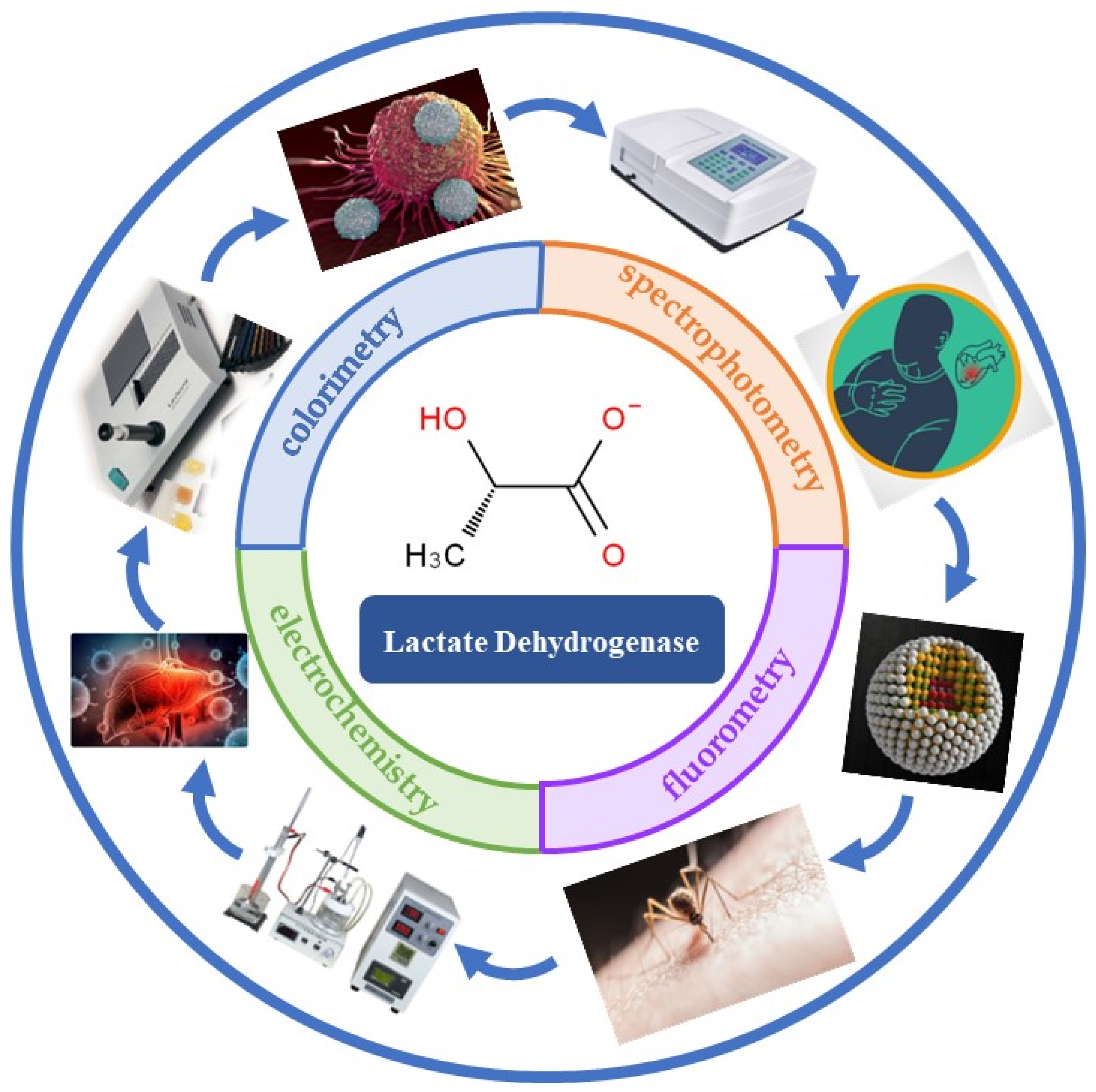 Biosensors 12 01145 g002