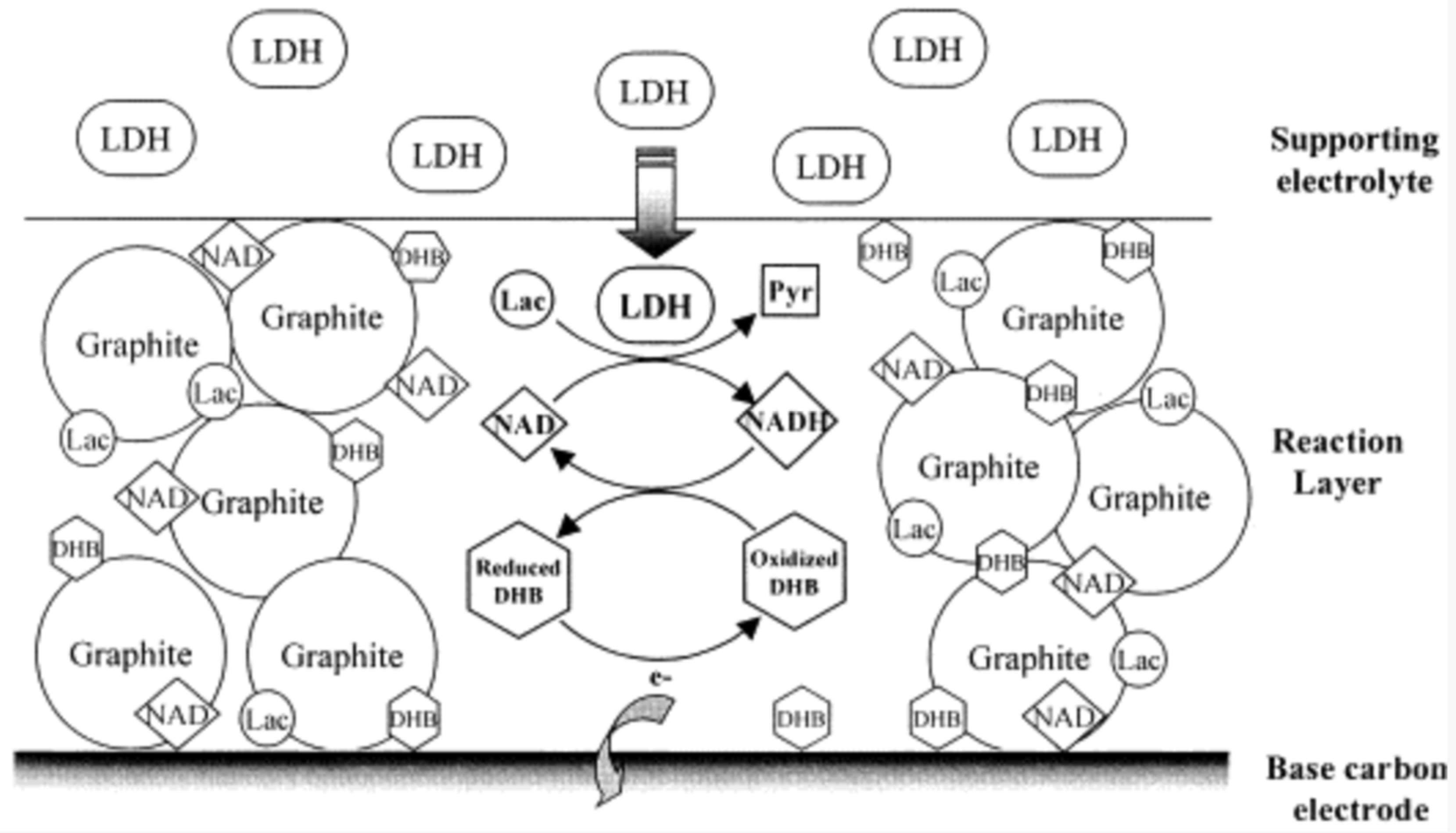 Biosensors 12 01145 g004