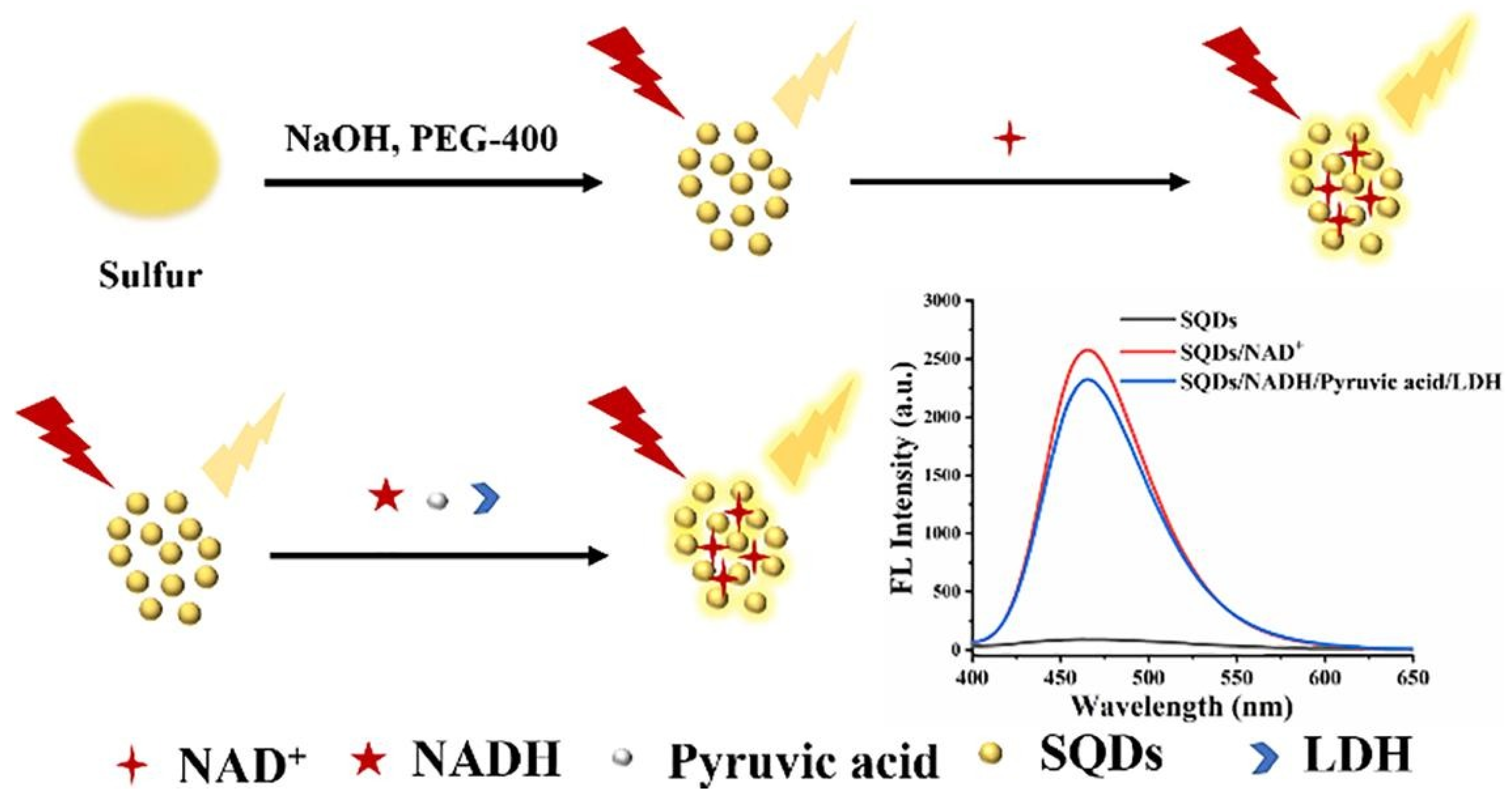 Biosensors 12 01145 g008