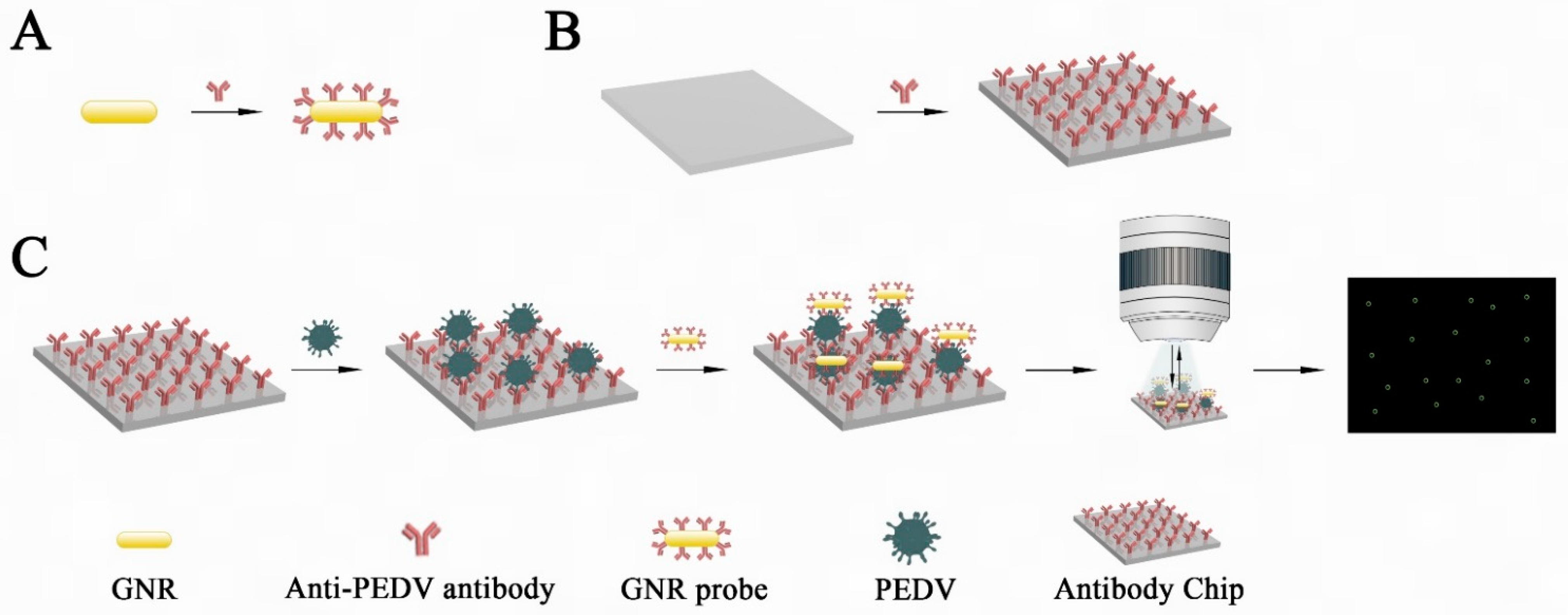 Biosensors 12 01146 g001