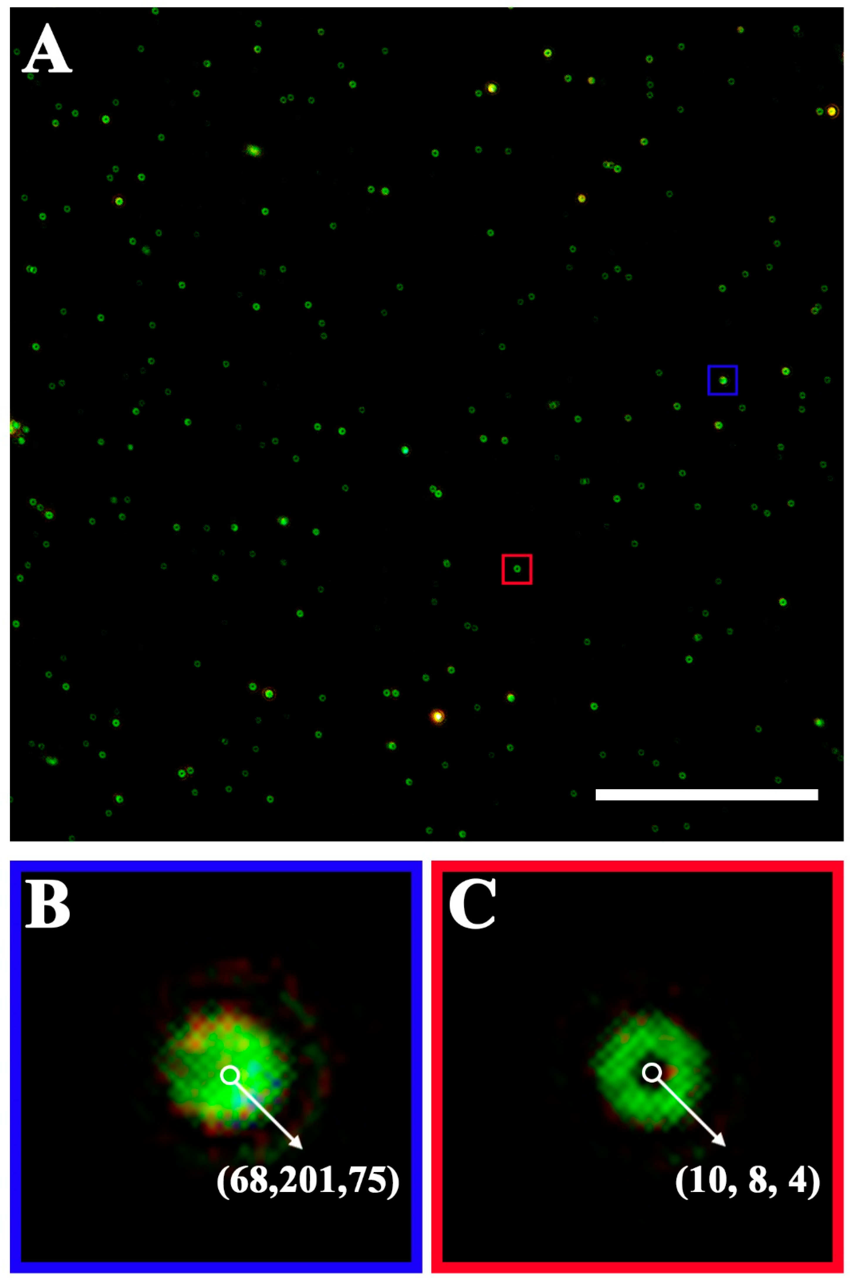 Biosensors 12 01146 g002