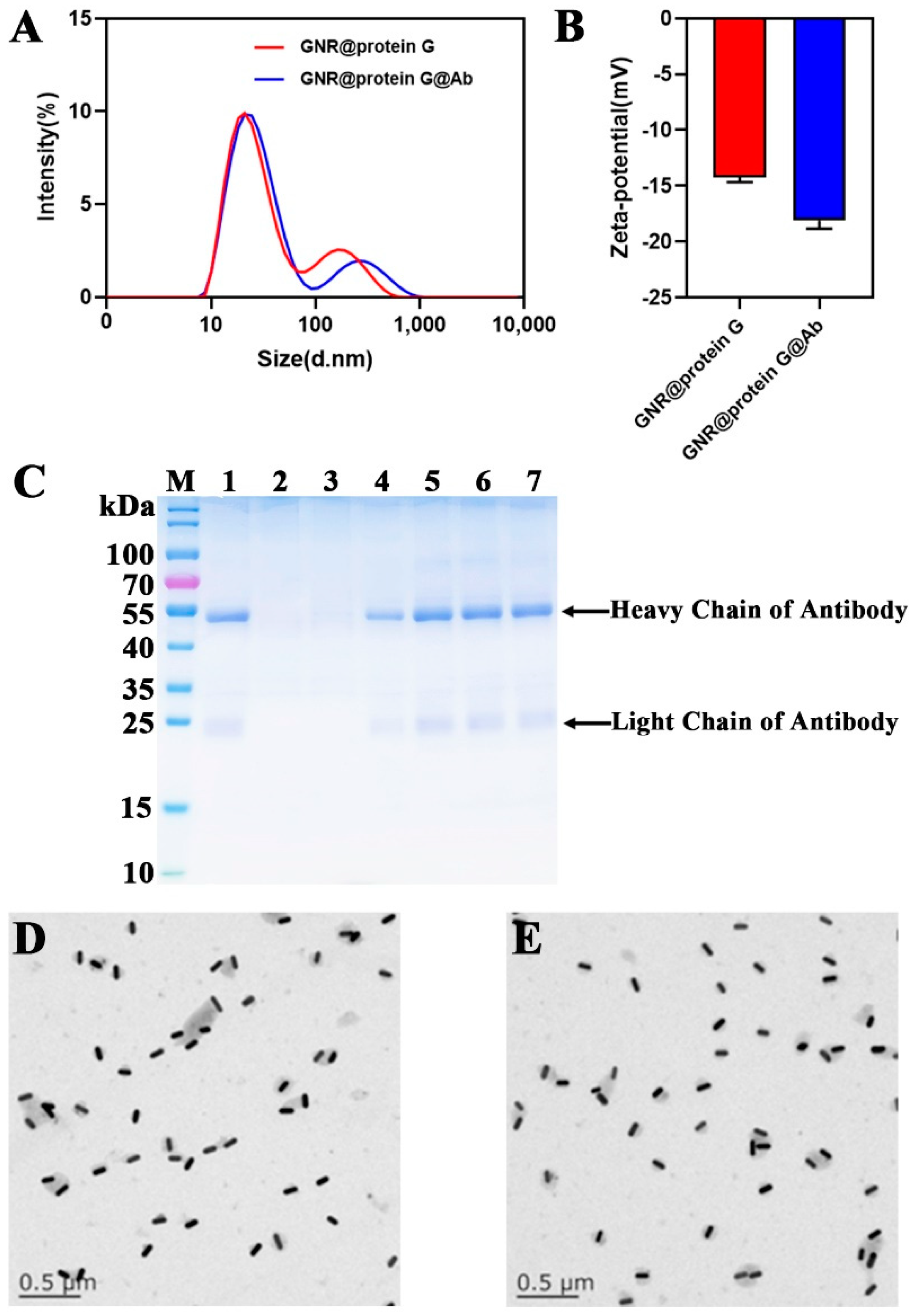 Biosensors 12 01146 g004
