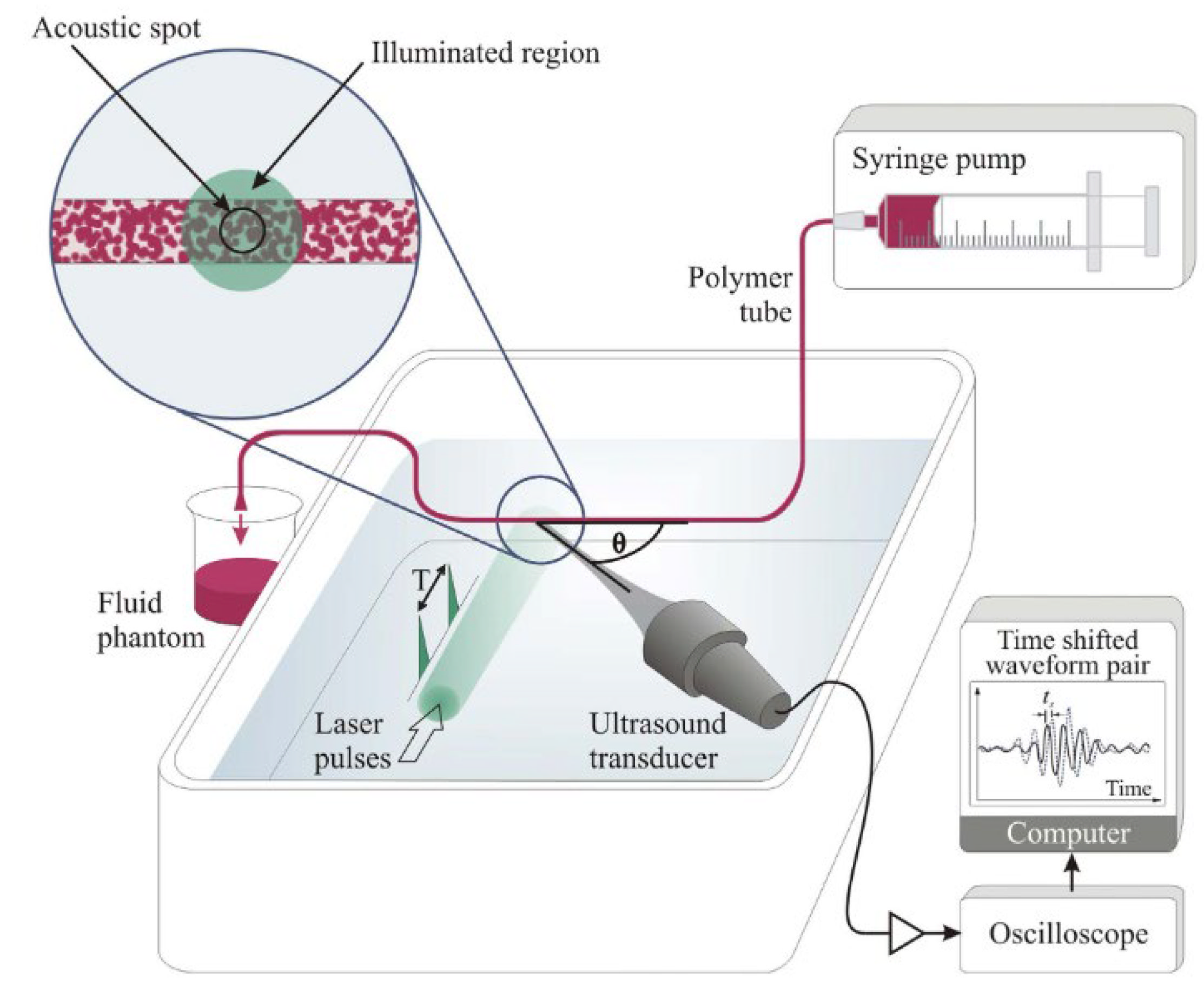 Biosensors 12 01154 g003