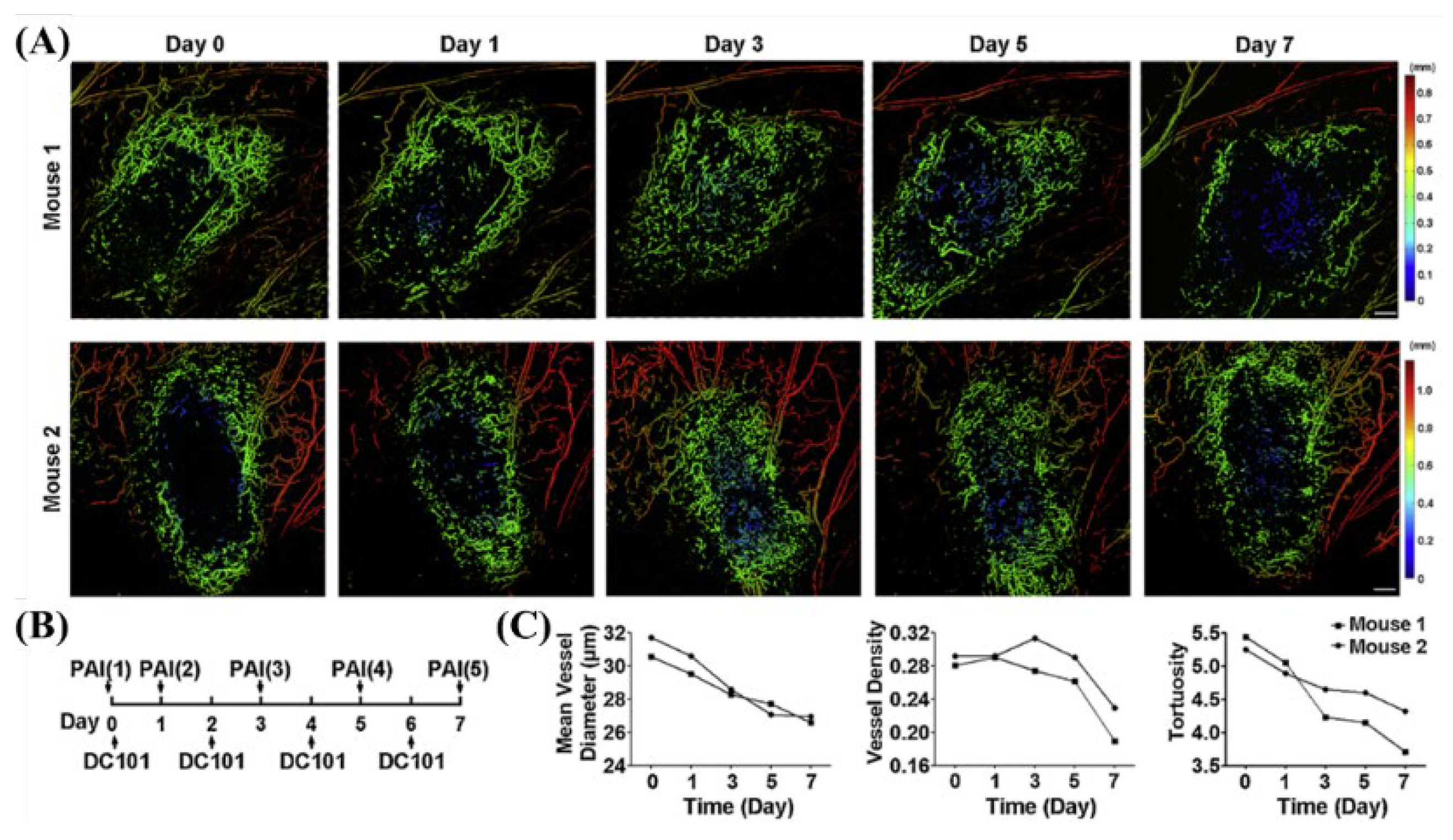 Biosensors 12 01154 g005