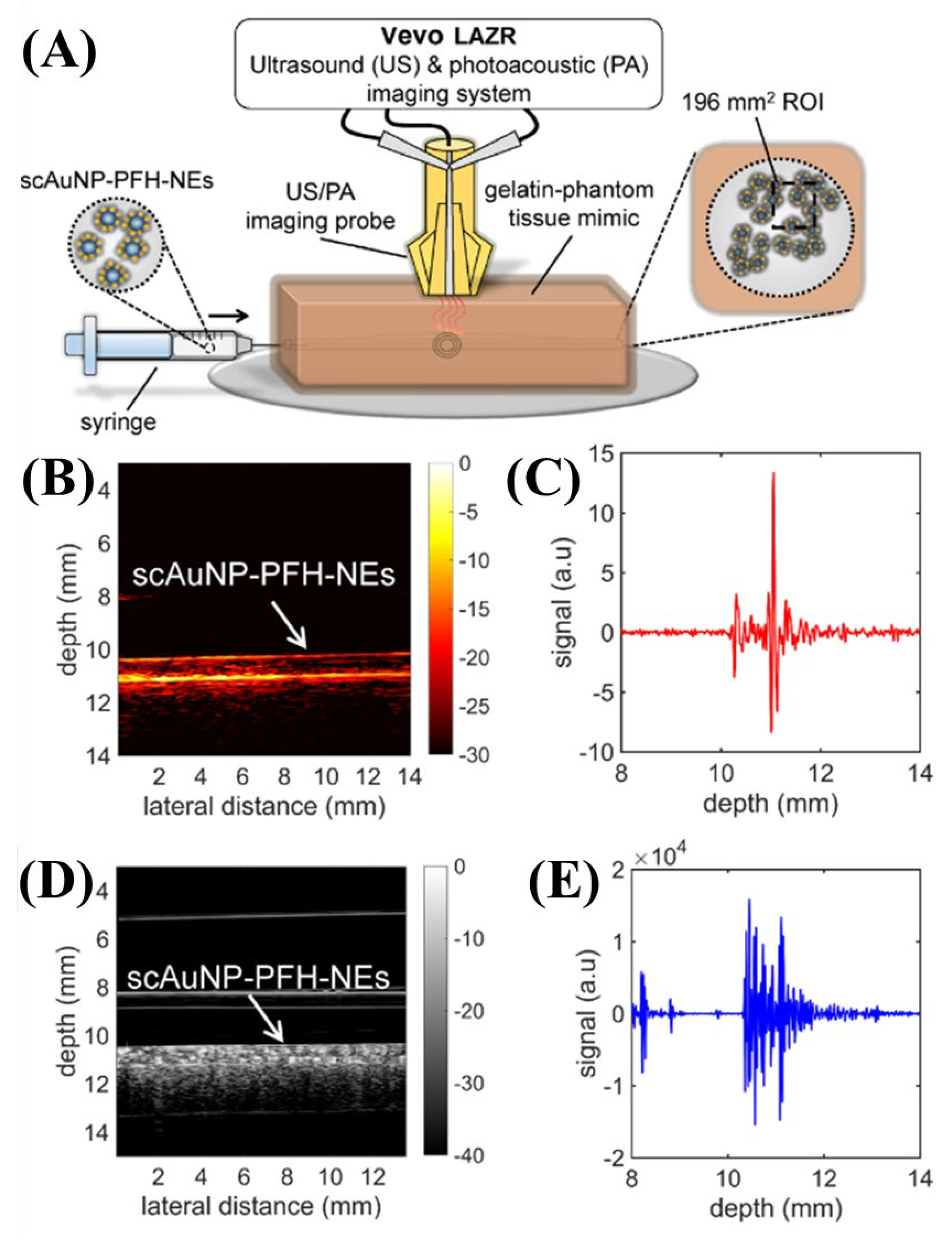 Biosensors 12 01154 g007