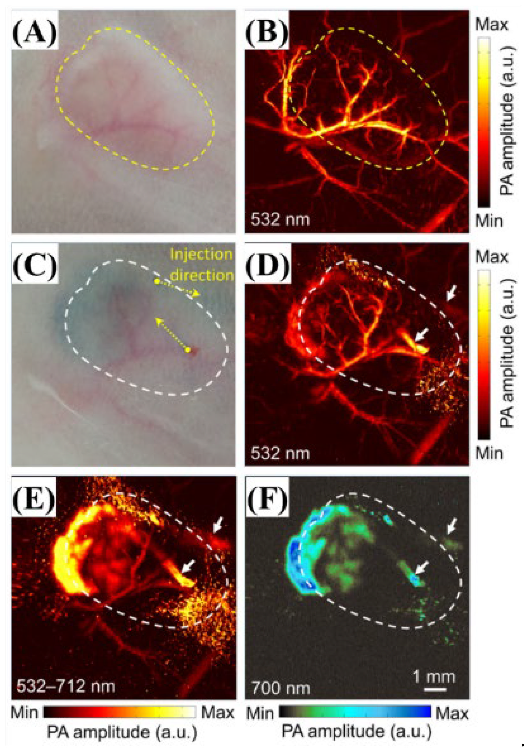 Biosensors 12 01154 g010