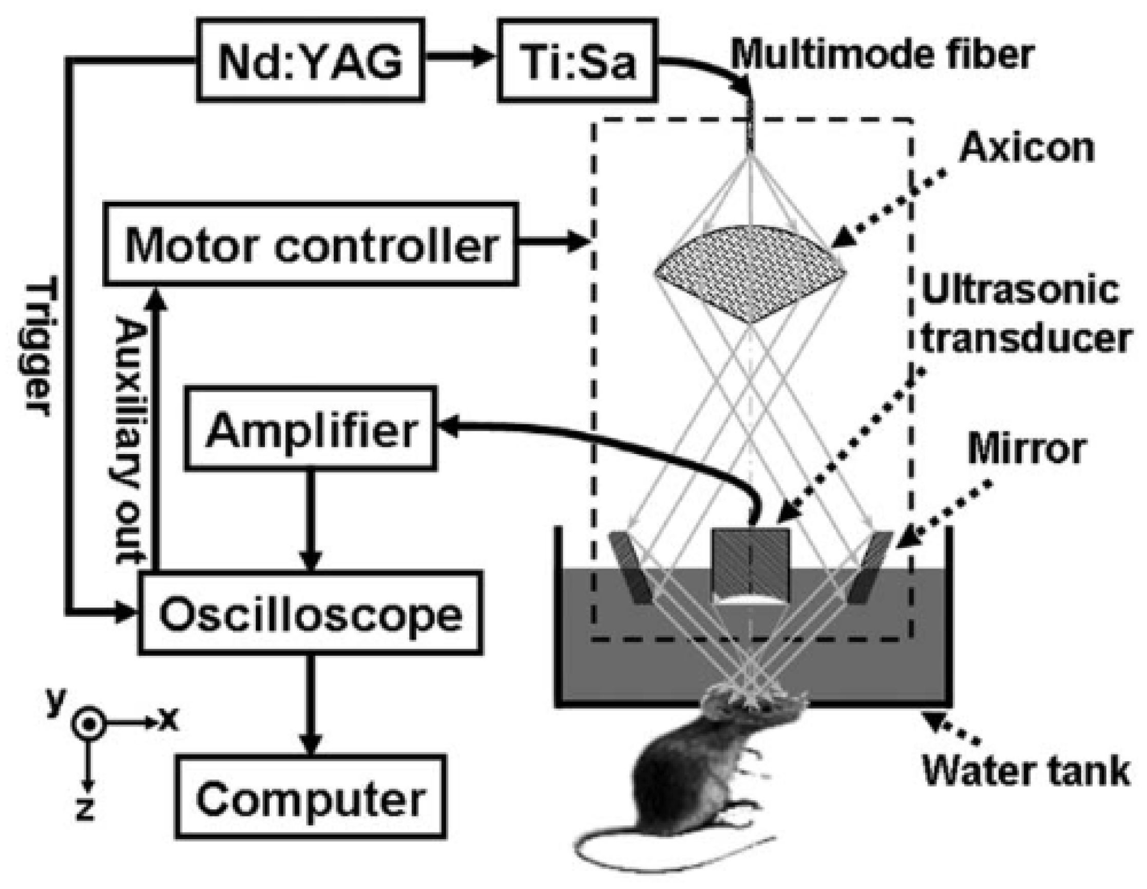 Biosensors 12 01154 g011