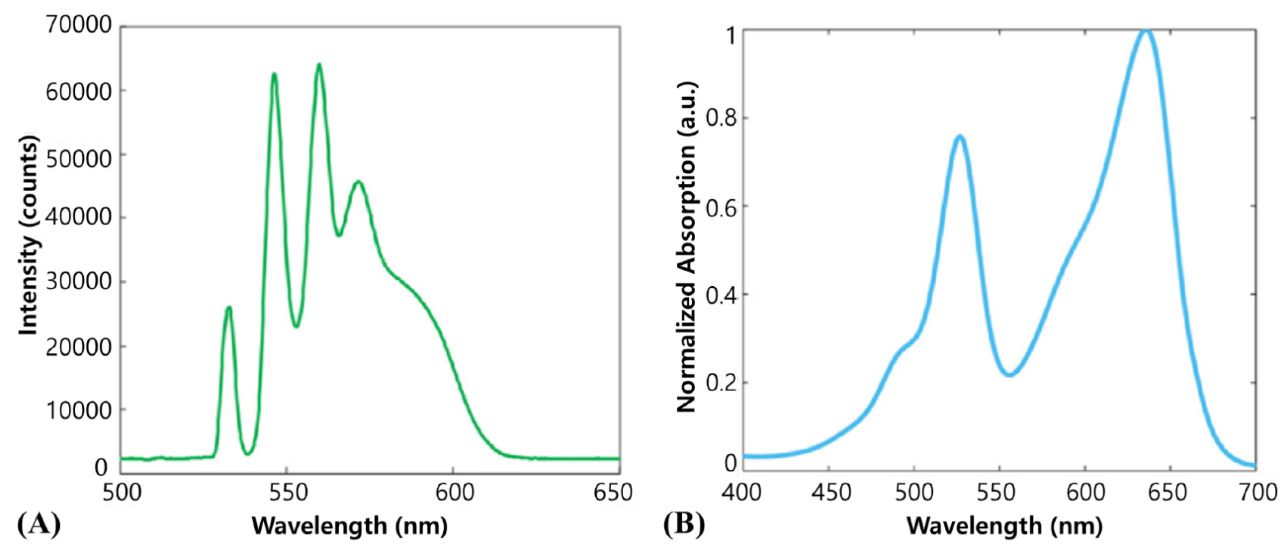 Biosensors 12 01154 g019