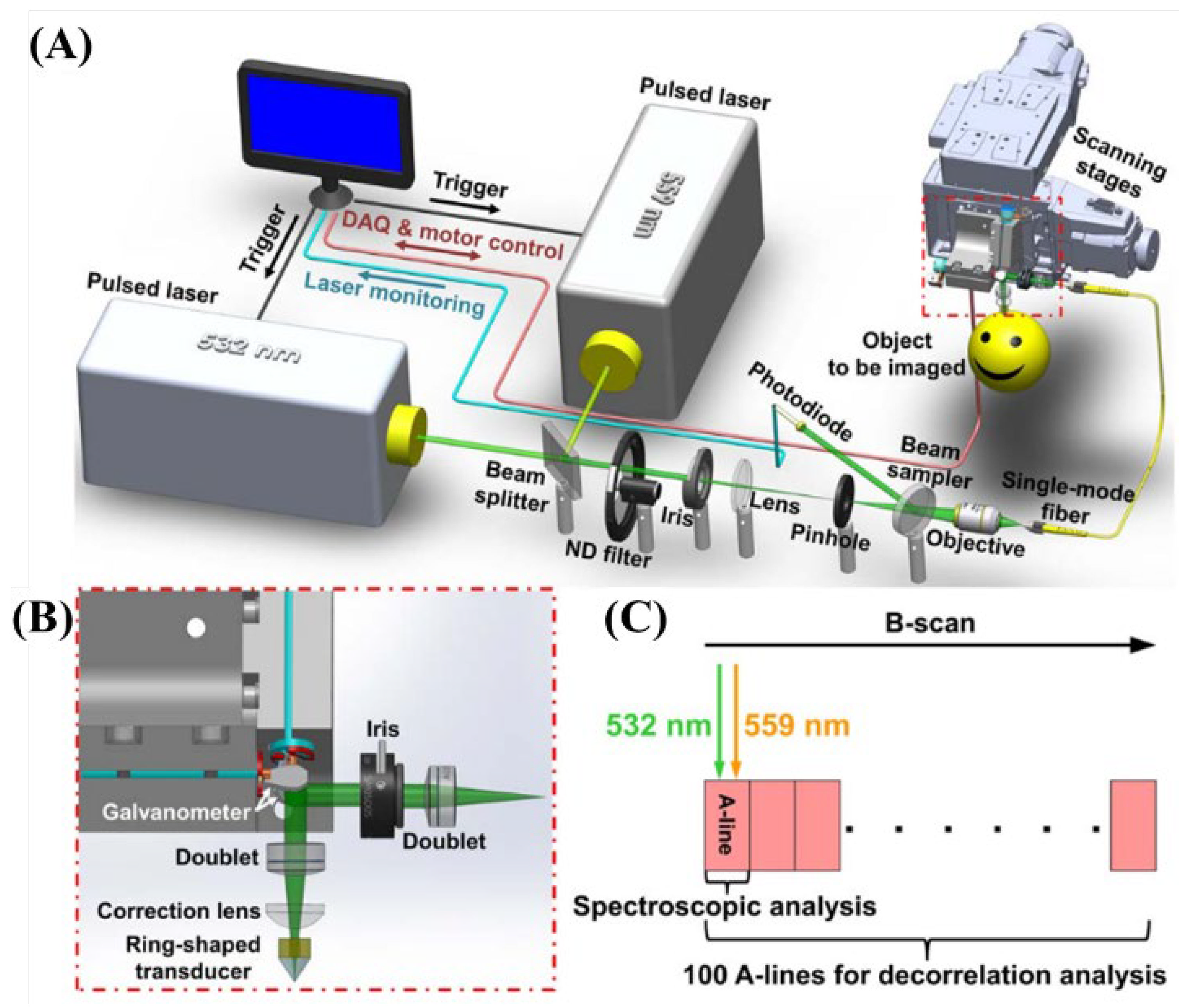 Biosensors 12 01154 g021