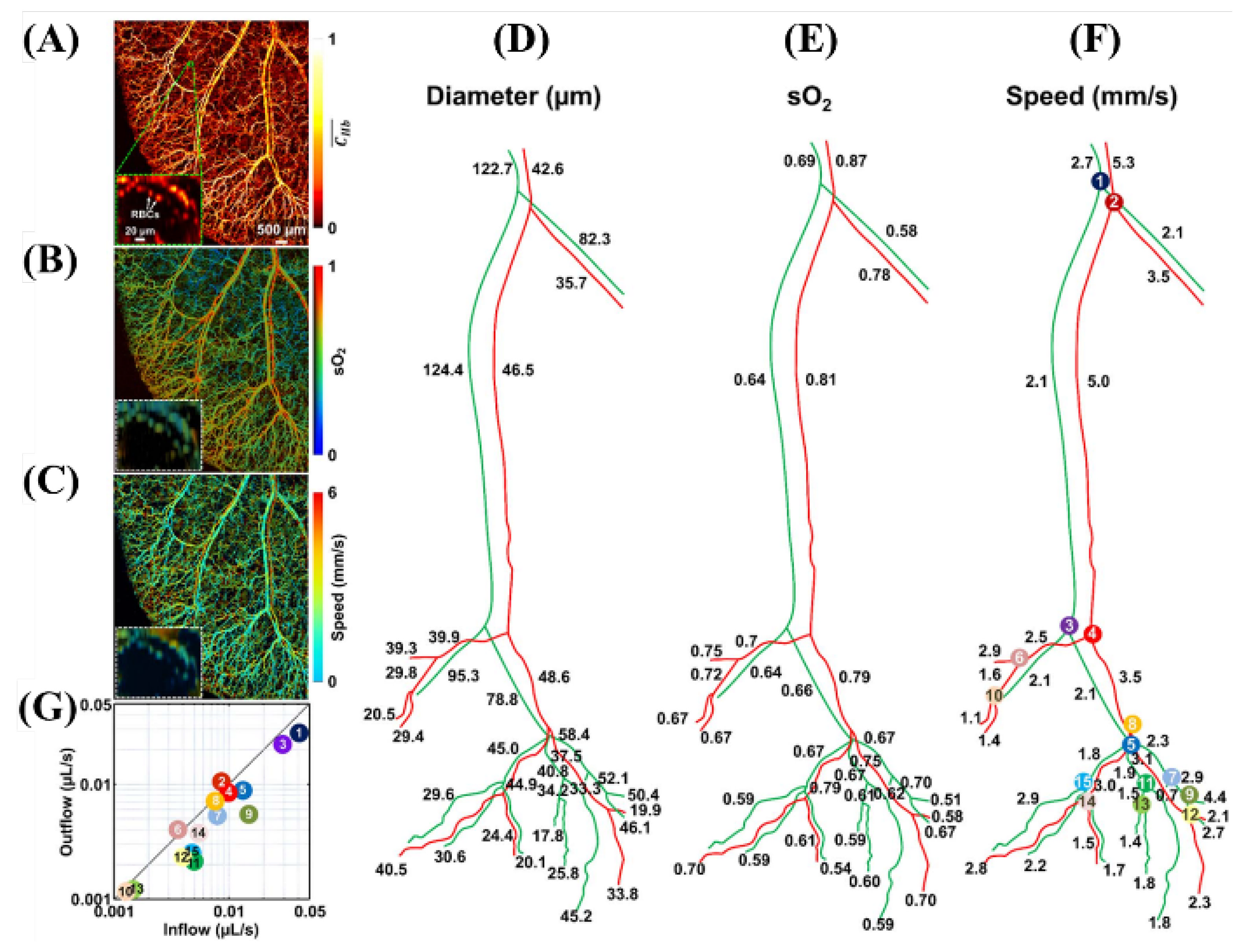Biosensors 12 01154 g022