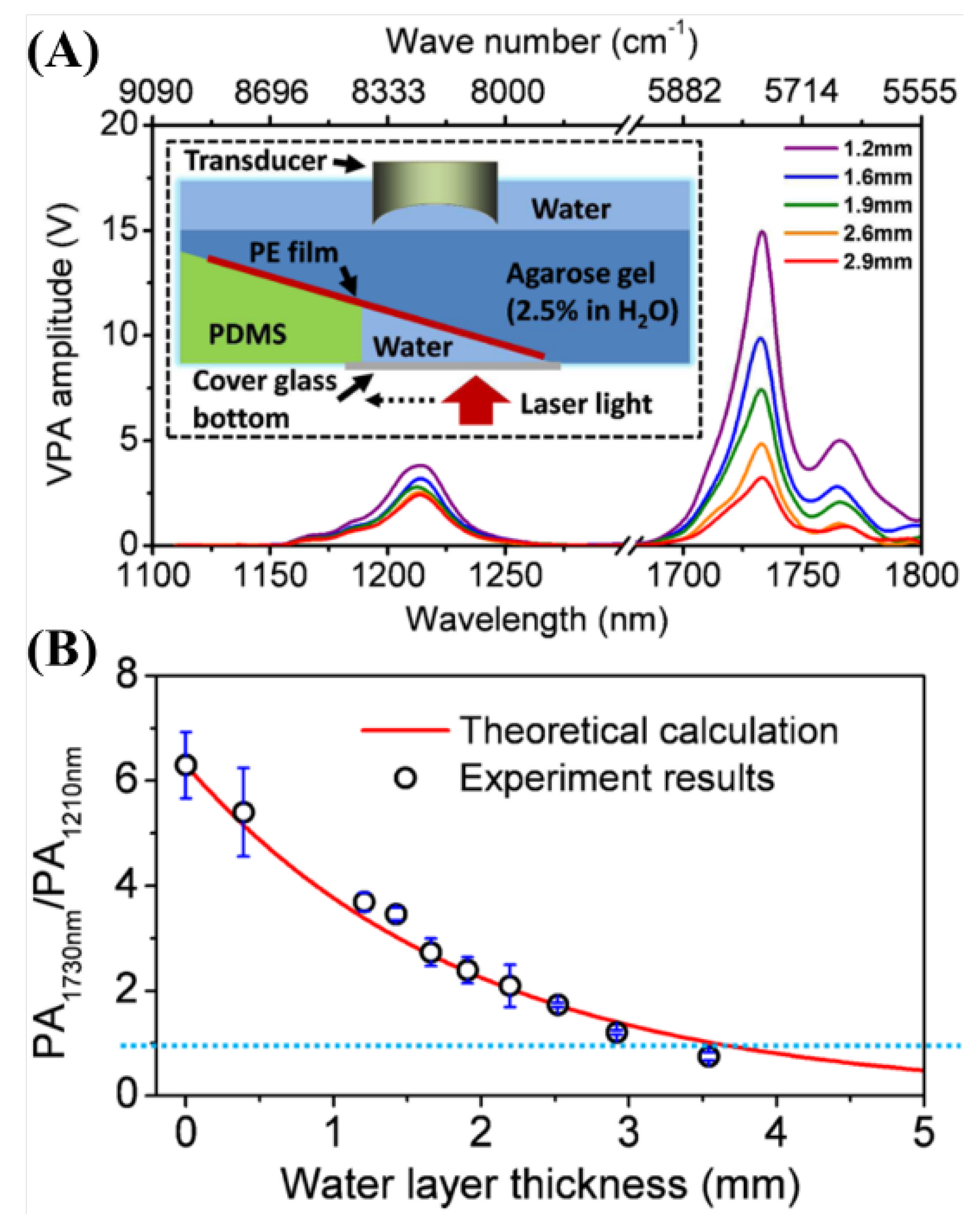 Biosensors 12 01154 g029