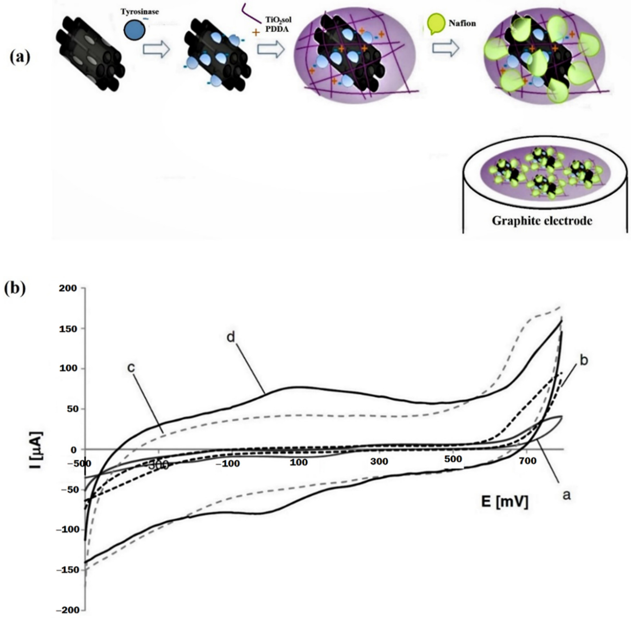 Biosensors 12 01173 g002 Biosensors 12 01173 g002