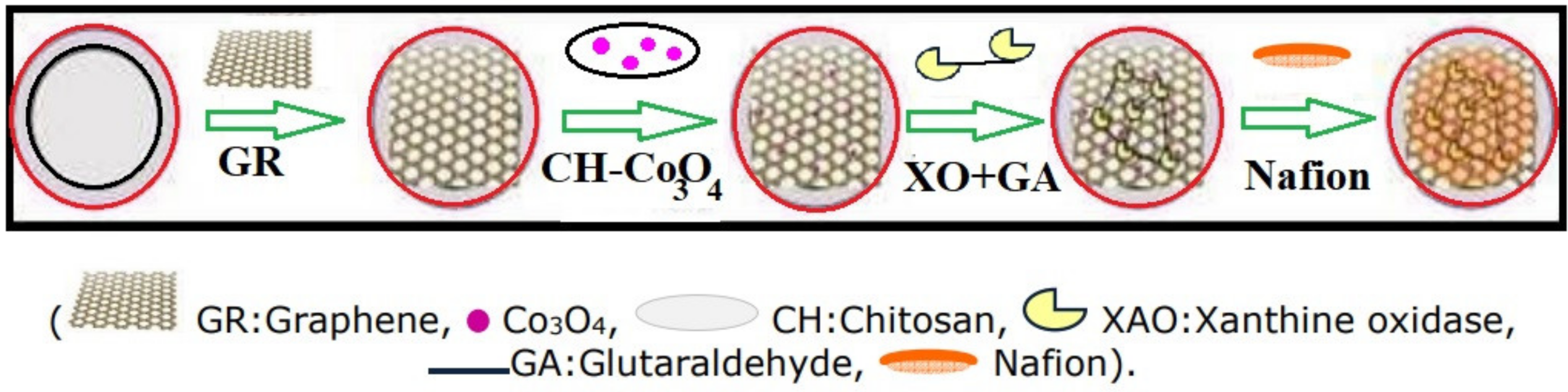 Biosensors 12 01173 g006 Biosensors 12 01173 g006