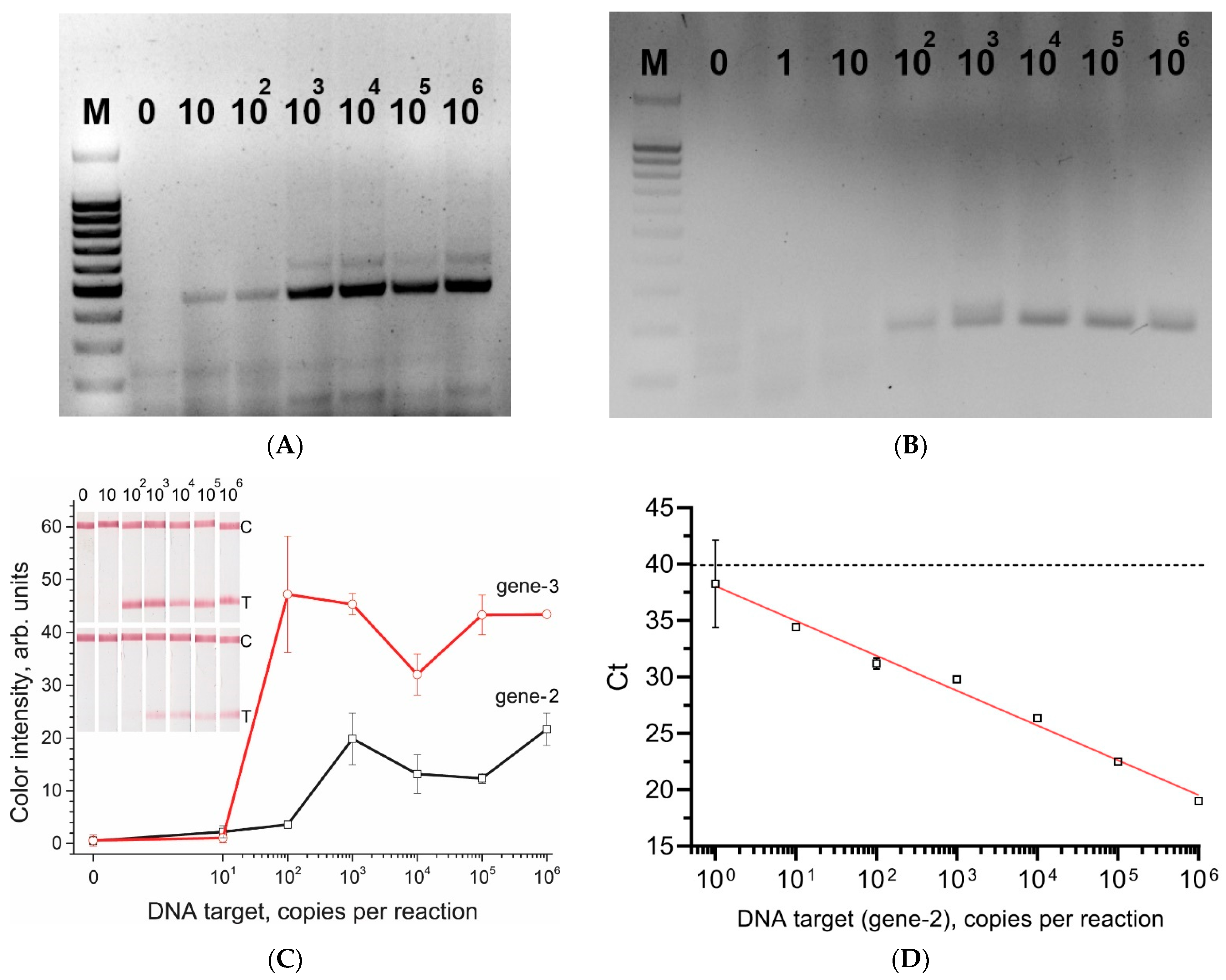 Biosensors 12 01174 g003