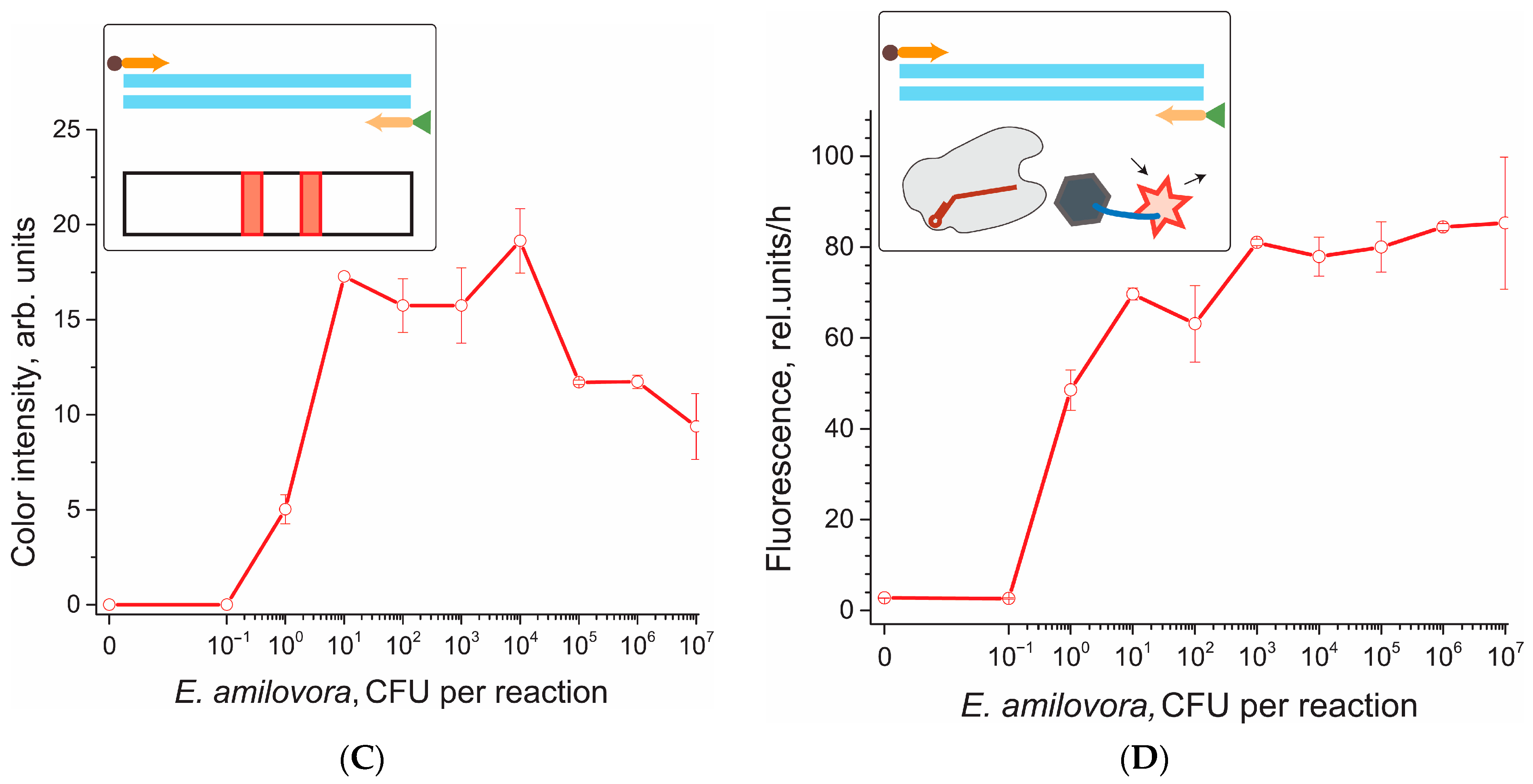 Biosensors 12 01174 g004b