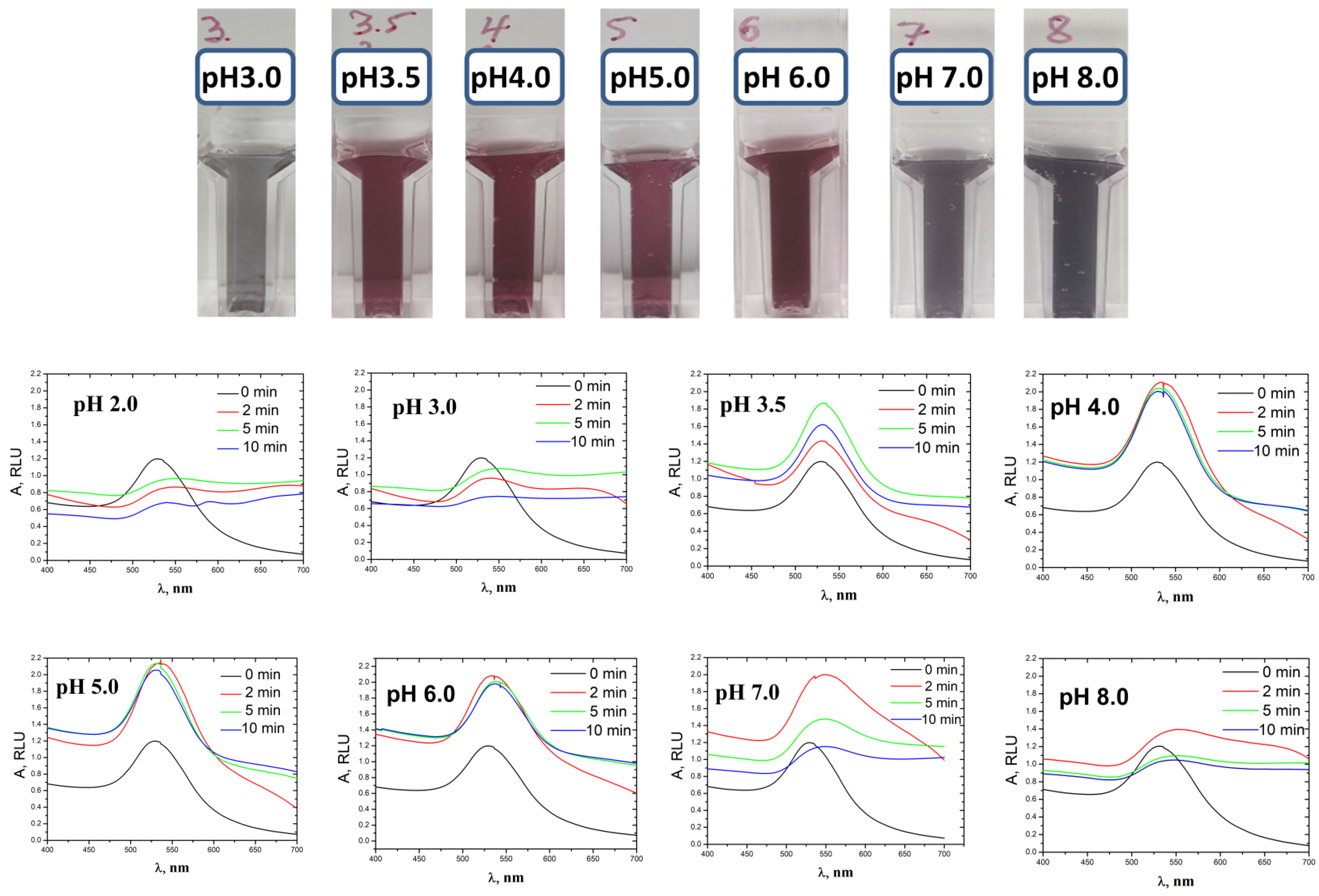 Biosensors 13 00002 g002