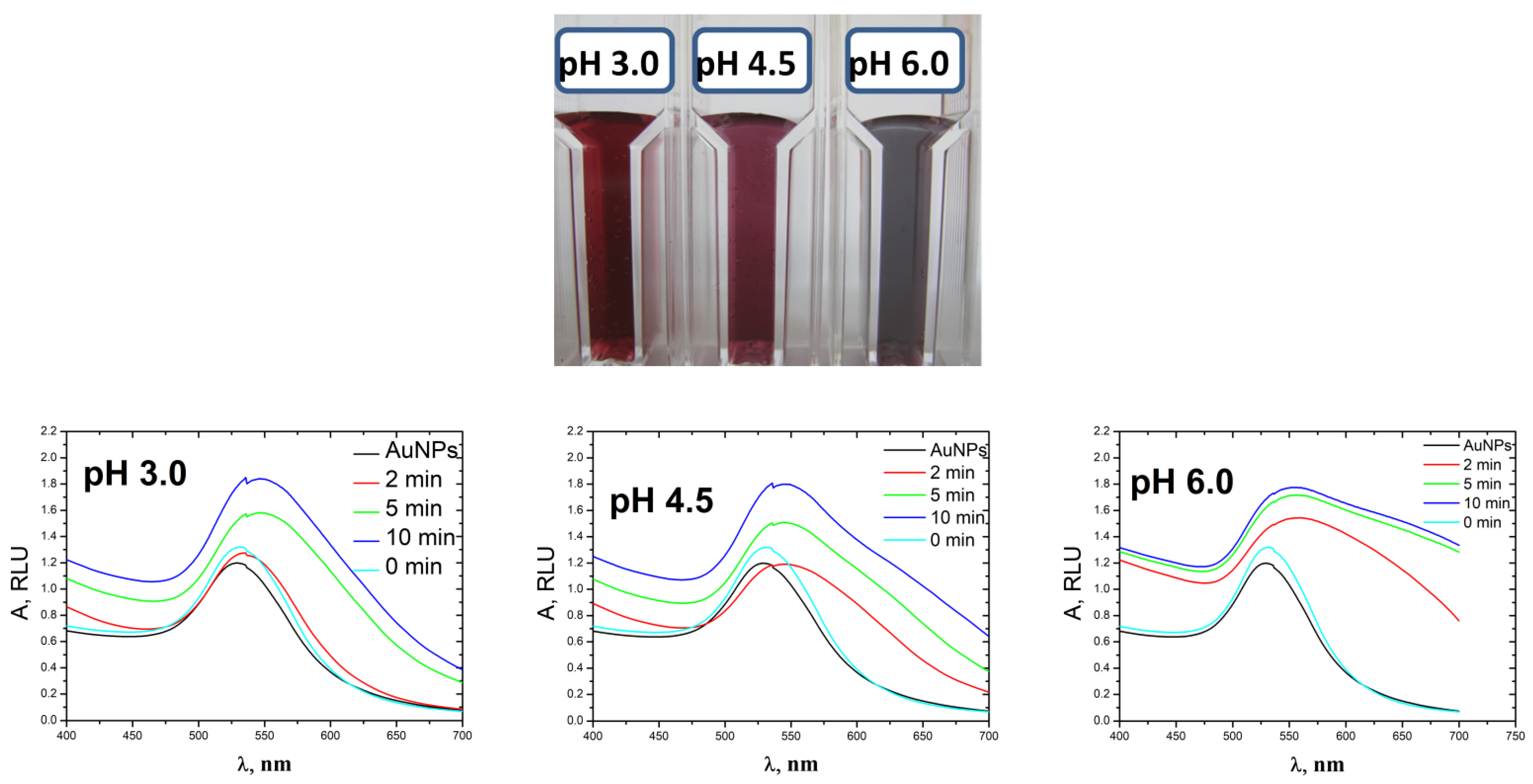 Biosensors 13 00002 g003