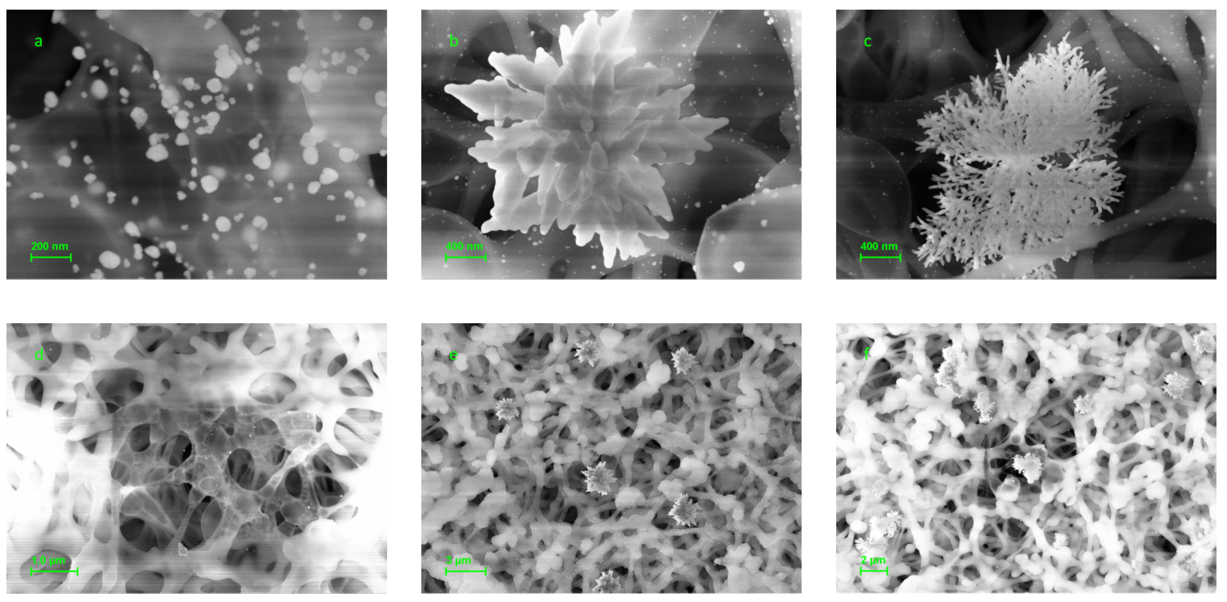 Biosensors 13 00002 g006