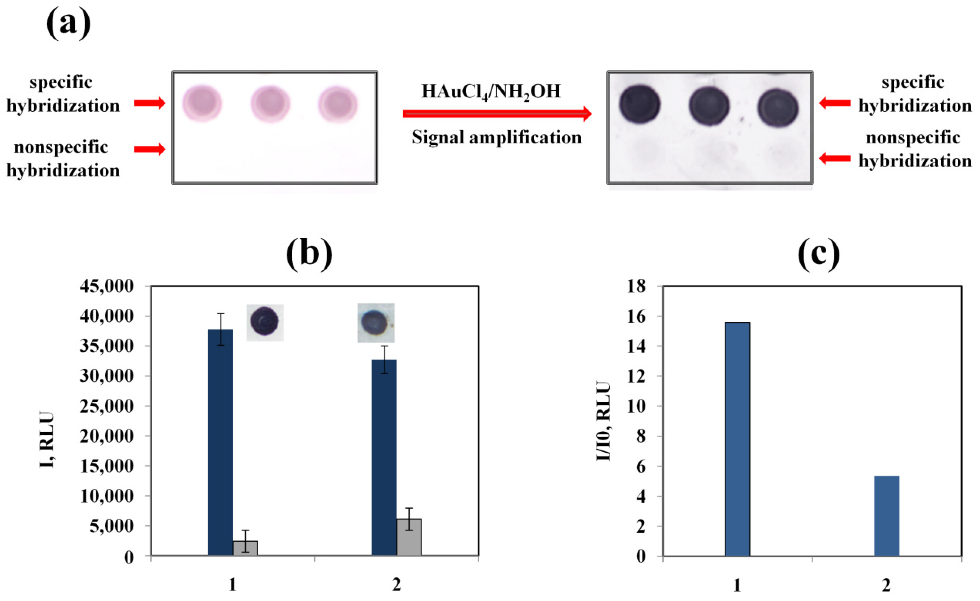 Biosensors 13 00002 g008