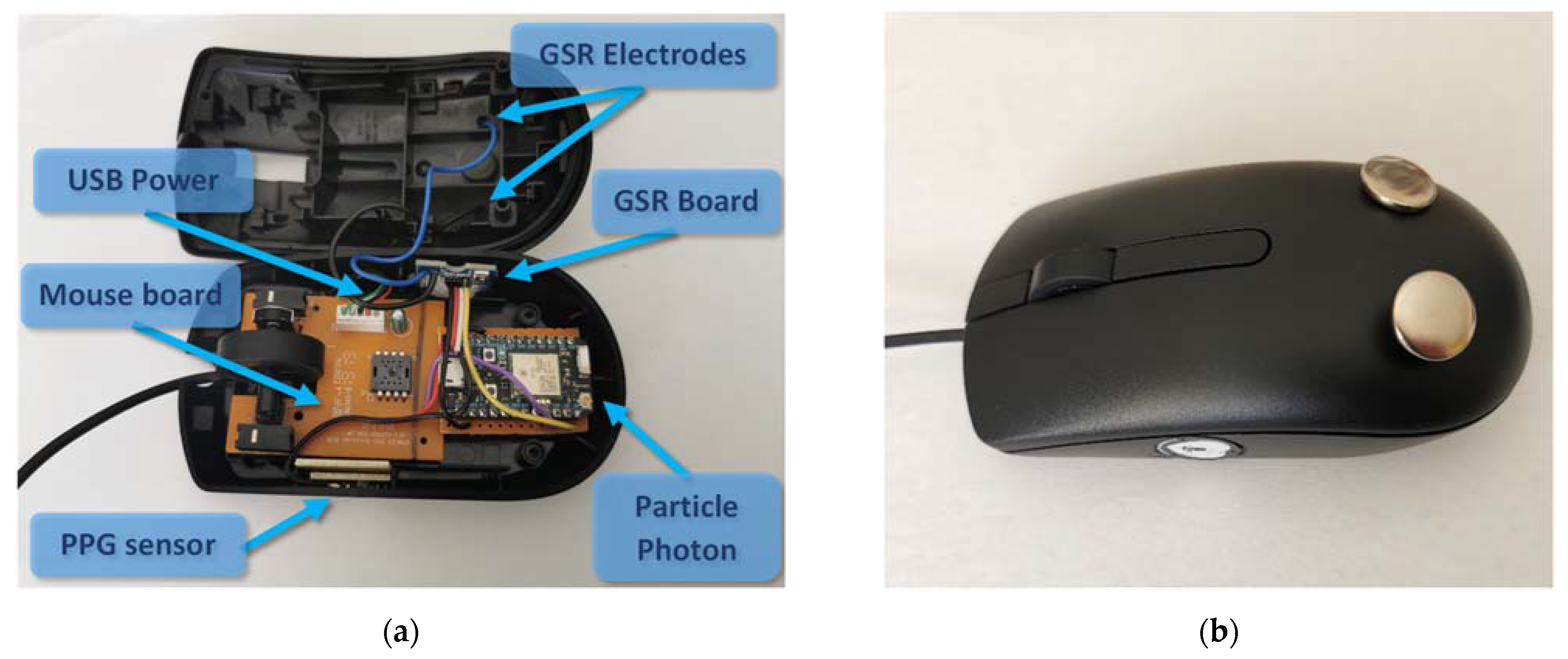 Biosensors 13 00010 g002