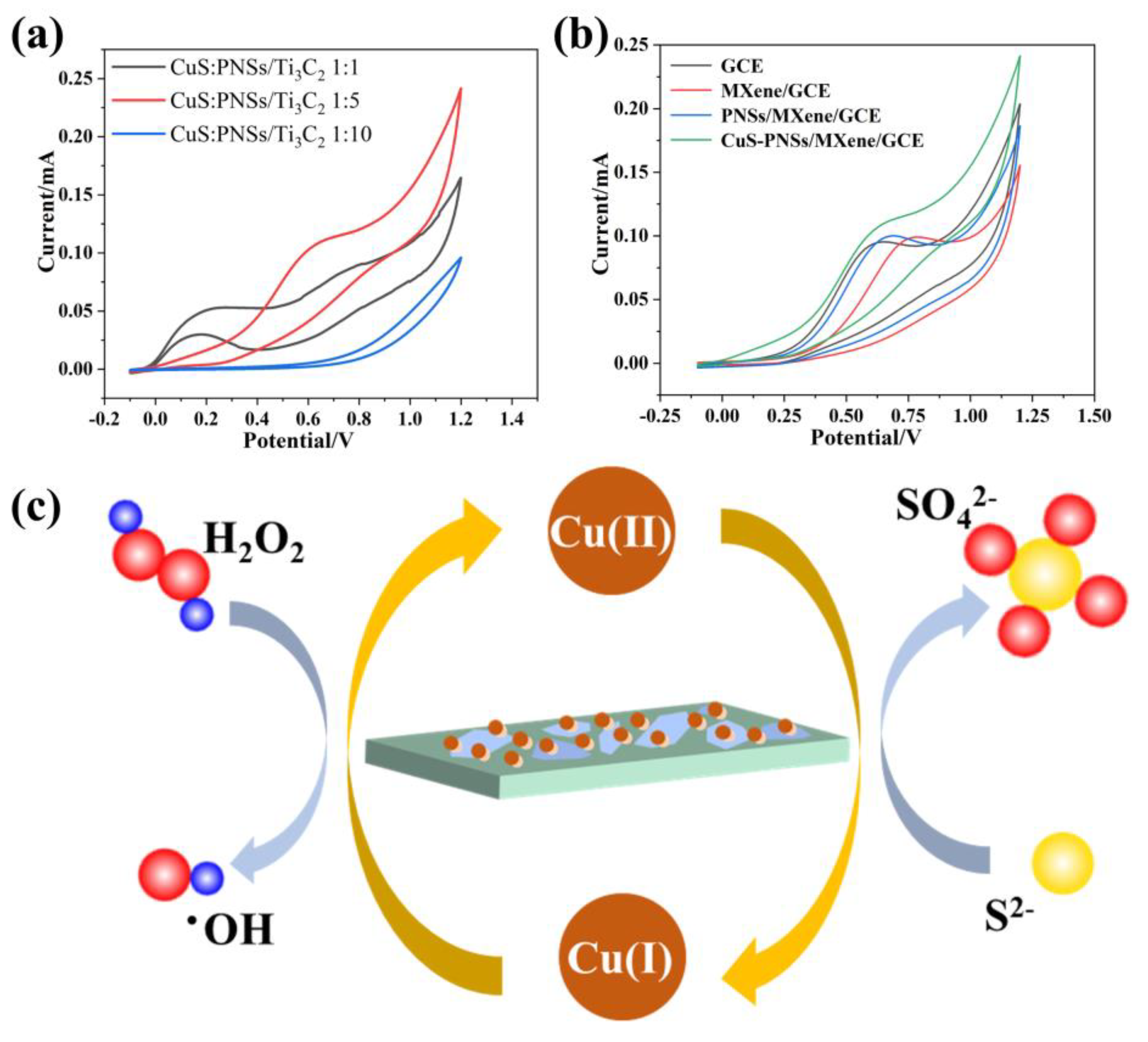 Biosensors 13 00014 g004