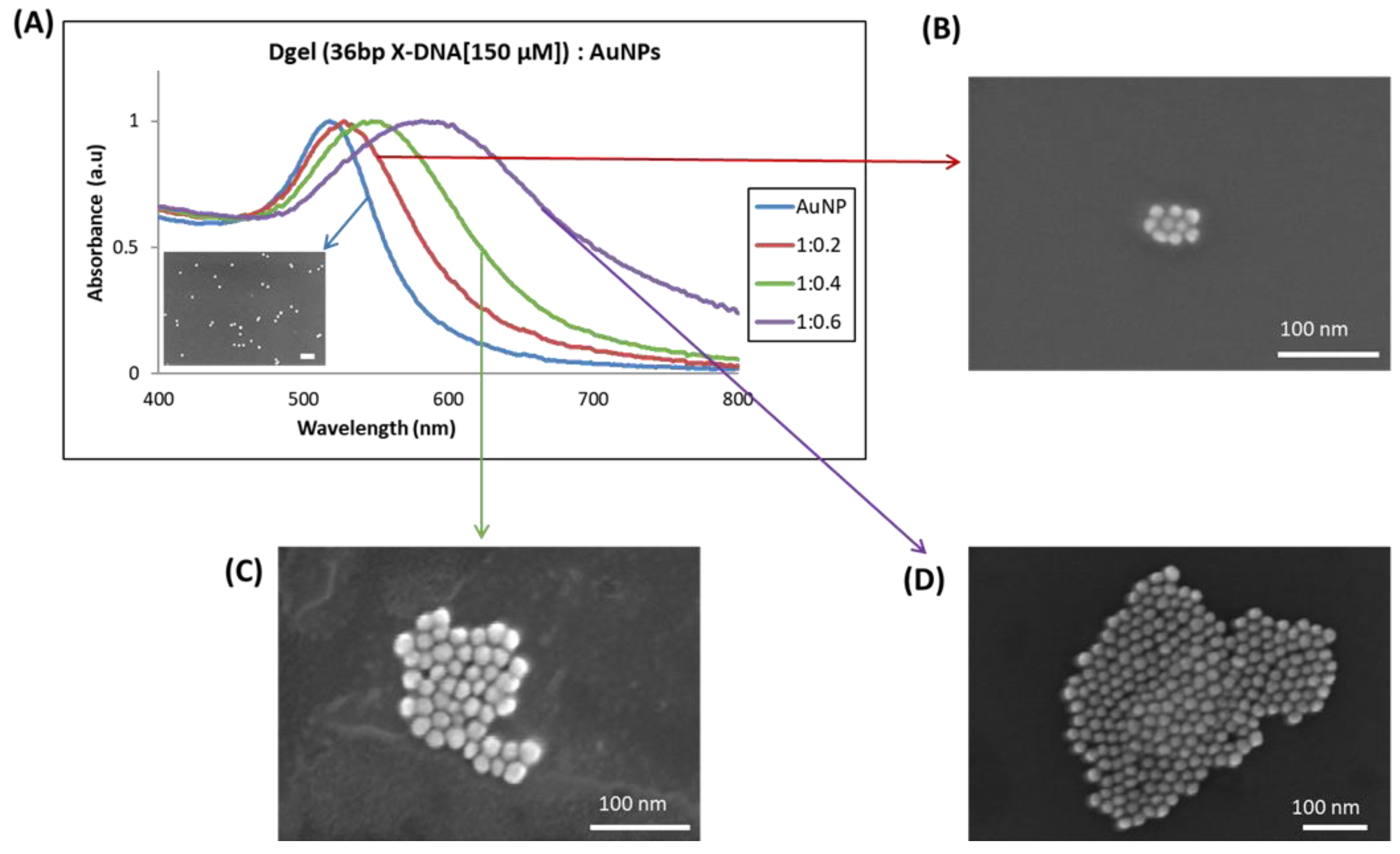 Biosensors 13 00020 g006