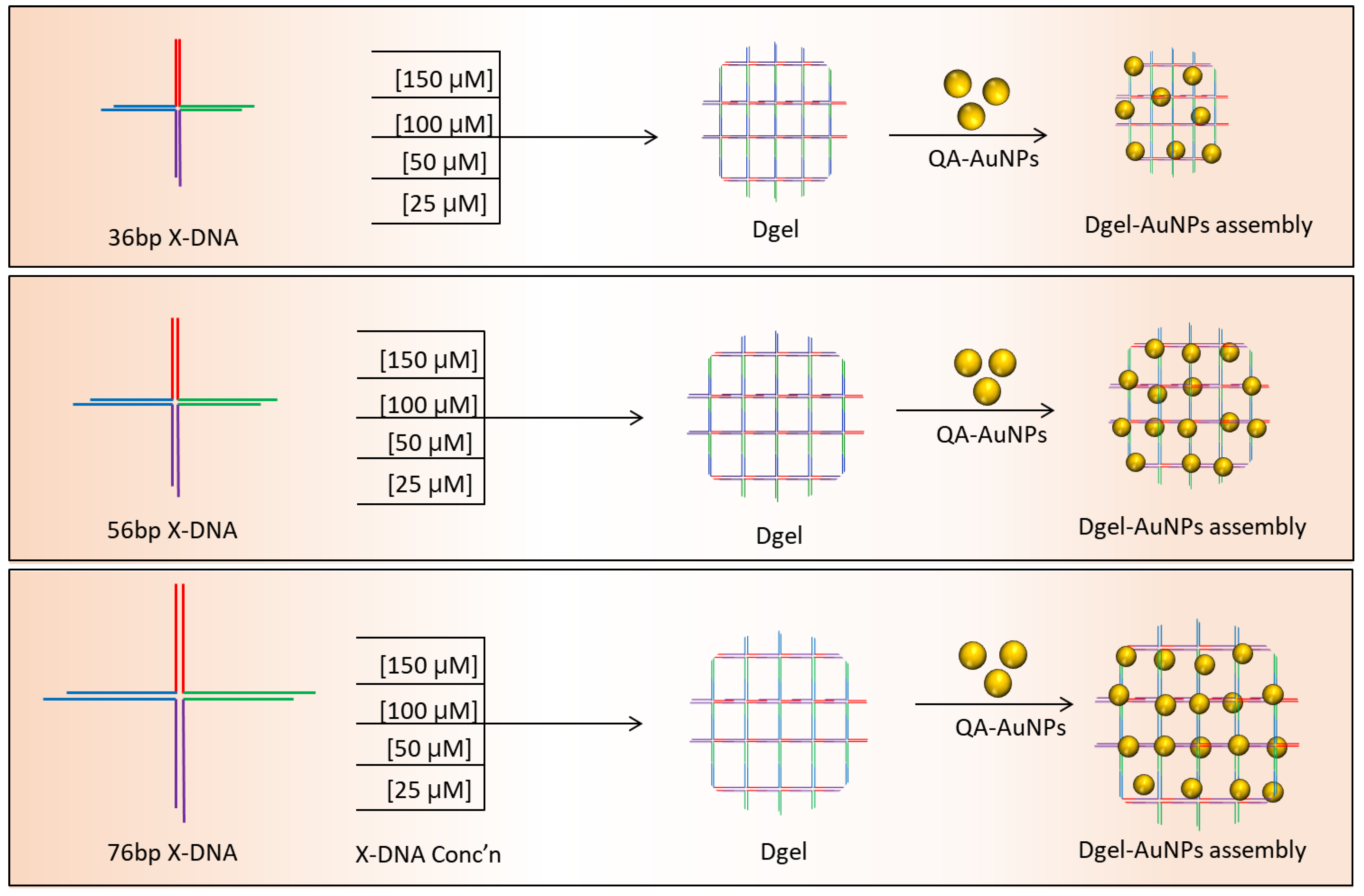 Biosensors 13 00020 sch001