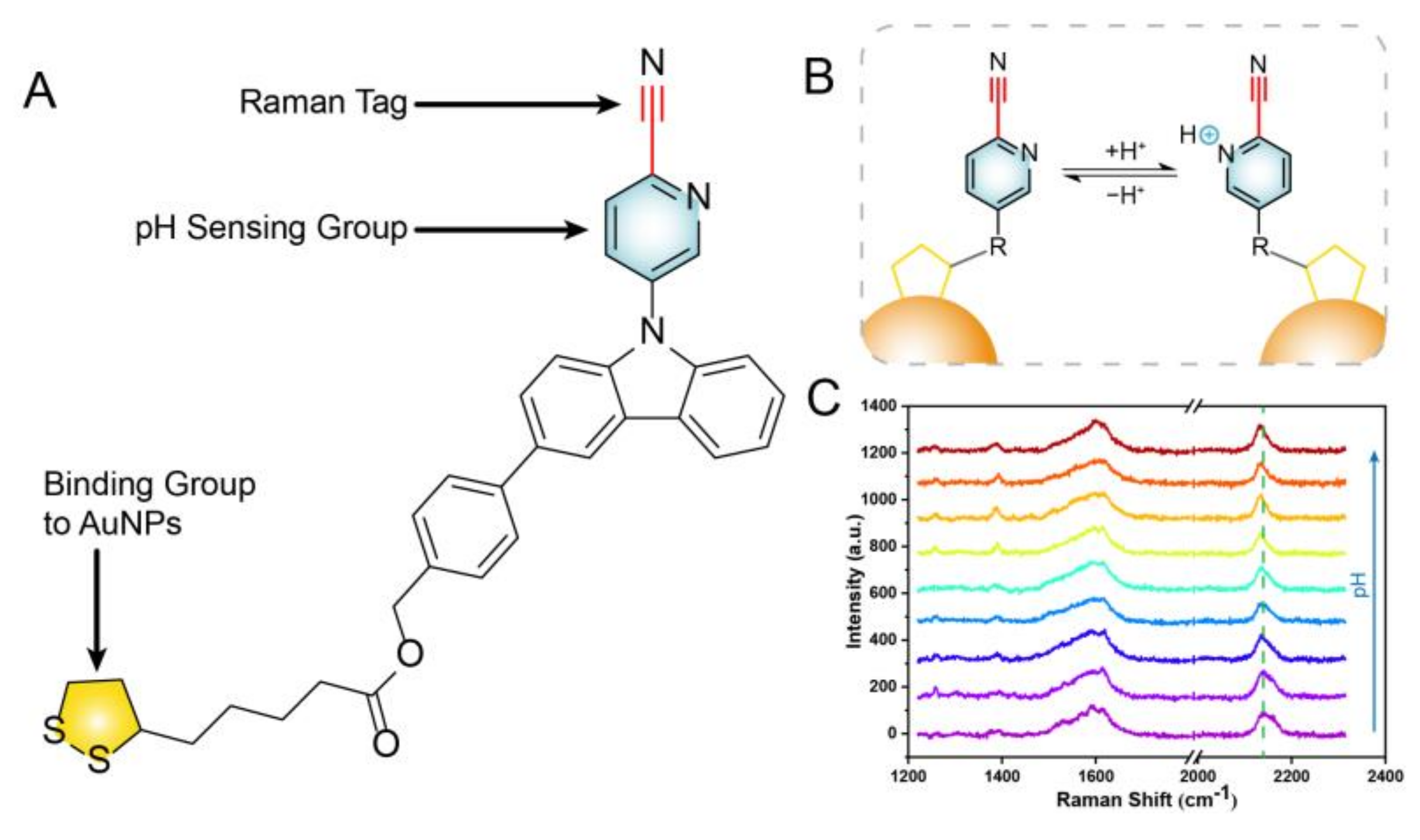 Biosensors 13 00021 g001