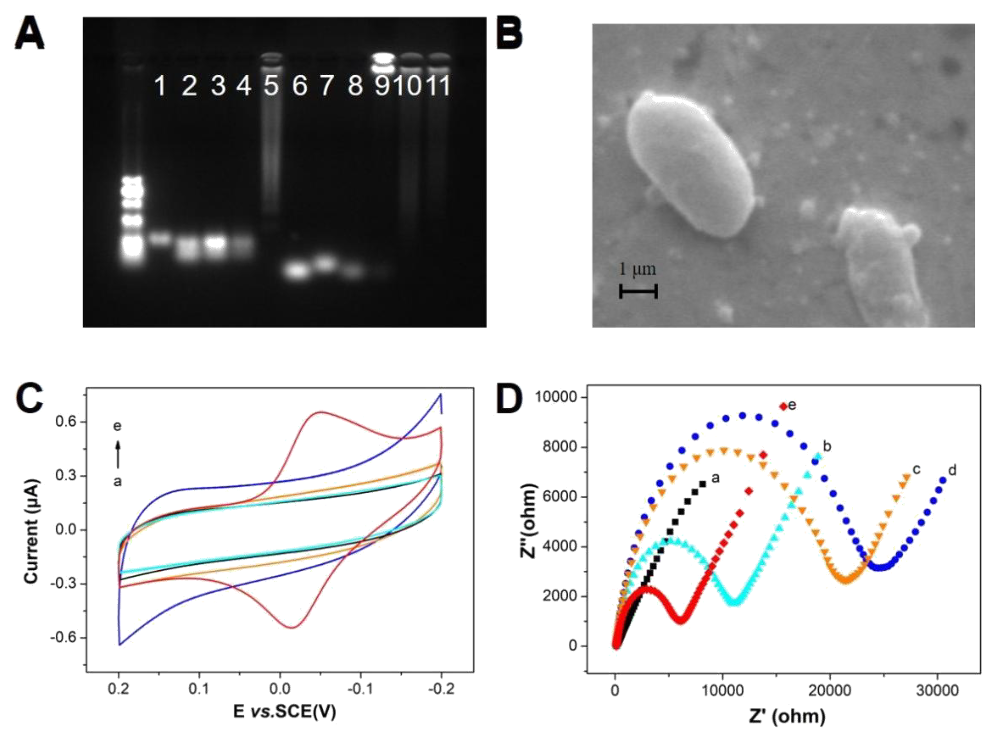 Biosensors 13 00024 g001