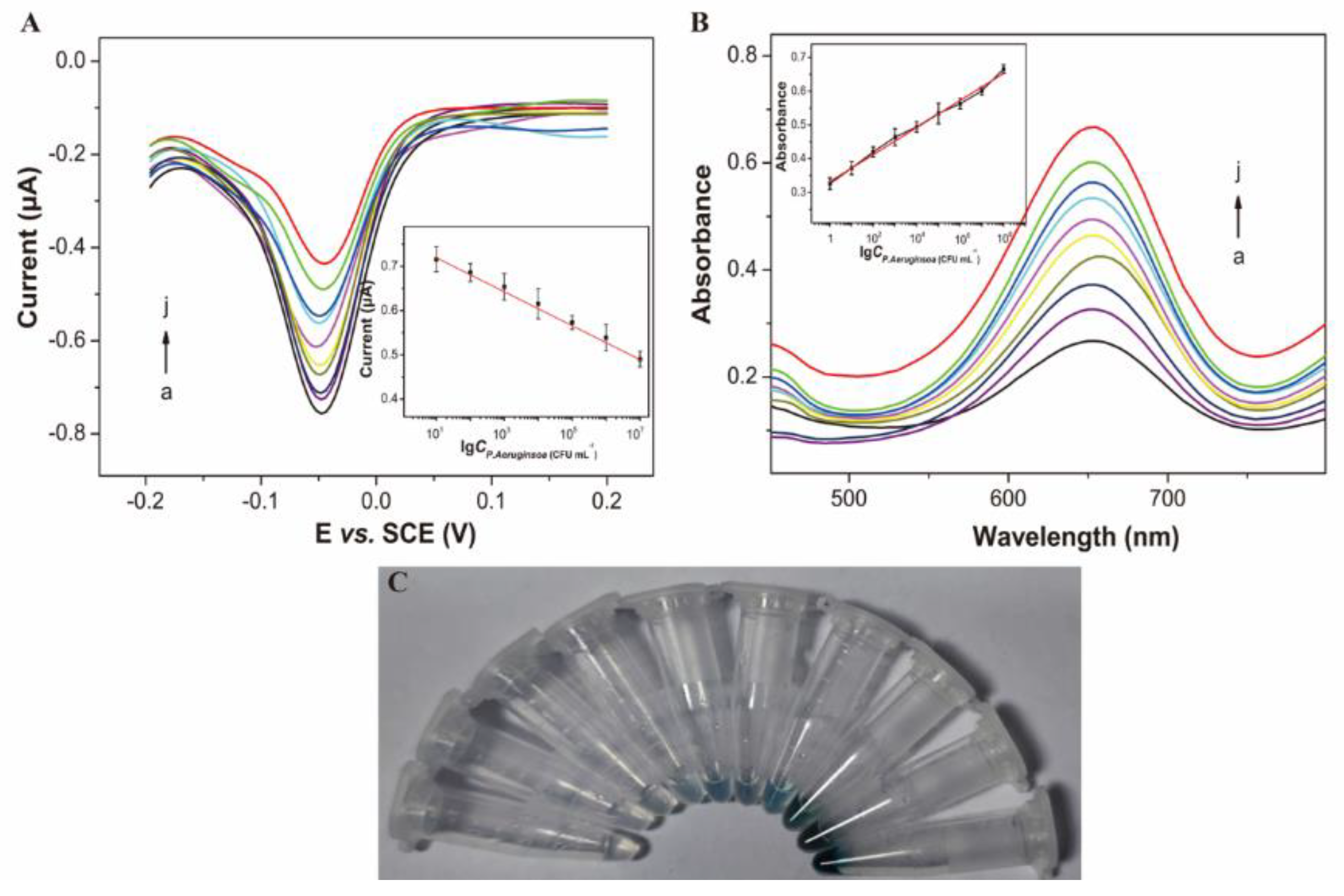 Biosensors 13 00024 g003