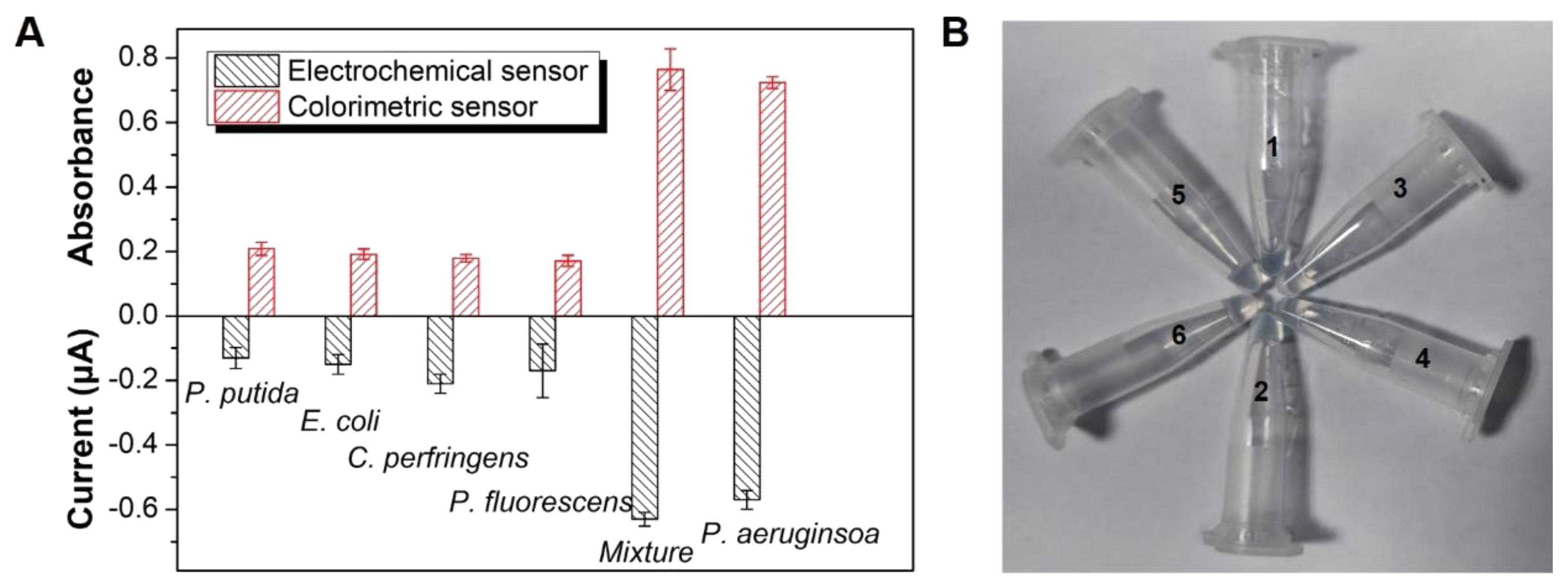 Biosensors 13 00024 g004