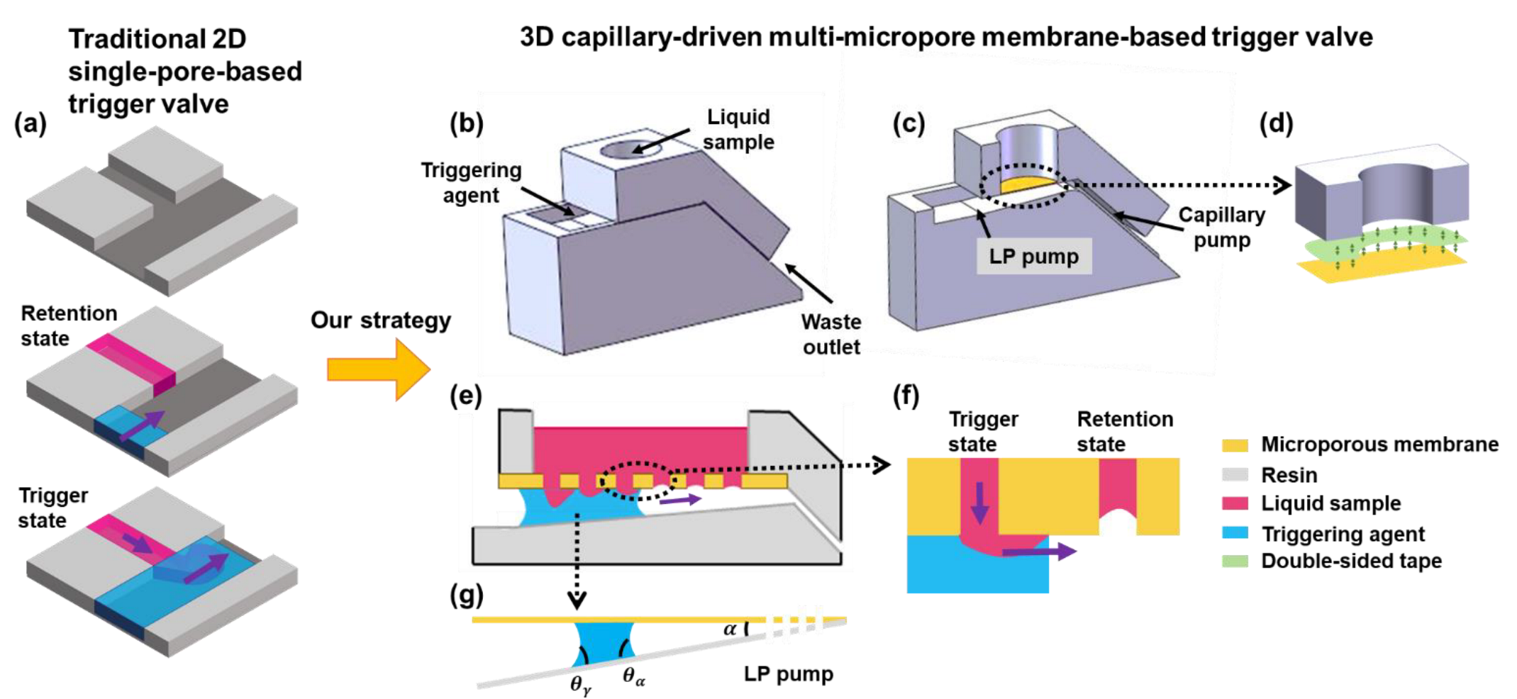 Biosensors 13 00026 g001