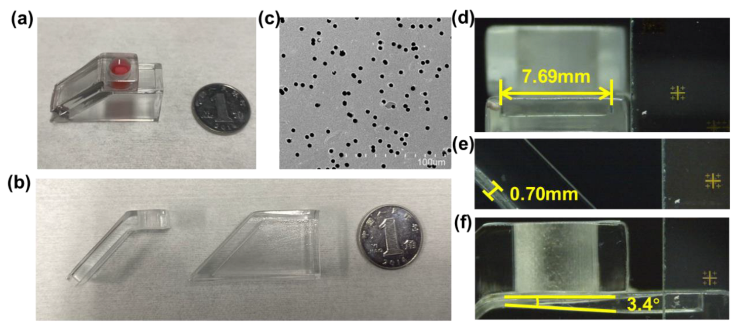 Biosensors 13 00026 g002