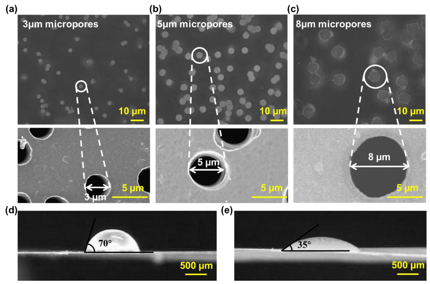 Biosensors 13 00026 g003
