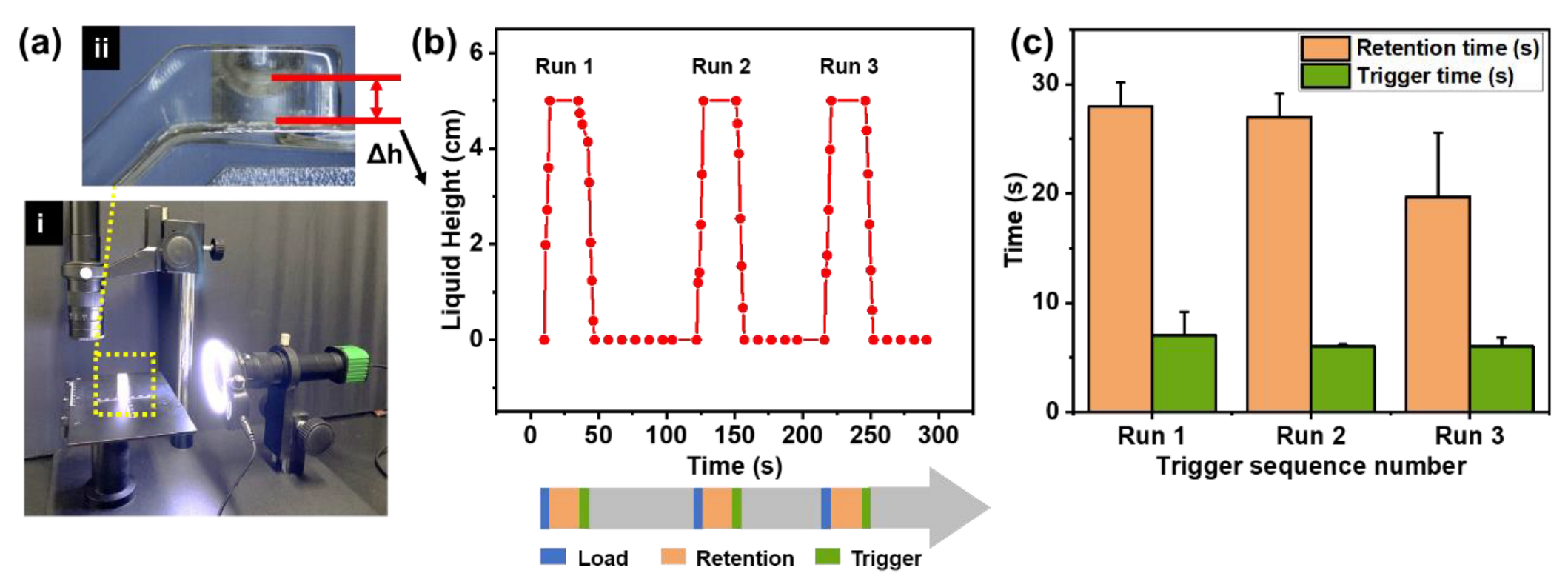 Biosensors 13 00026 g006
