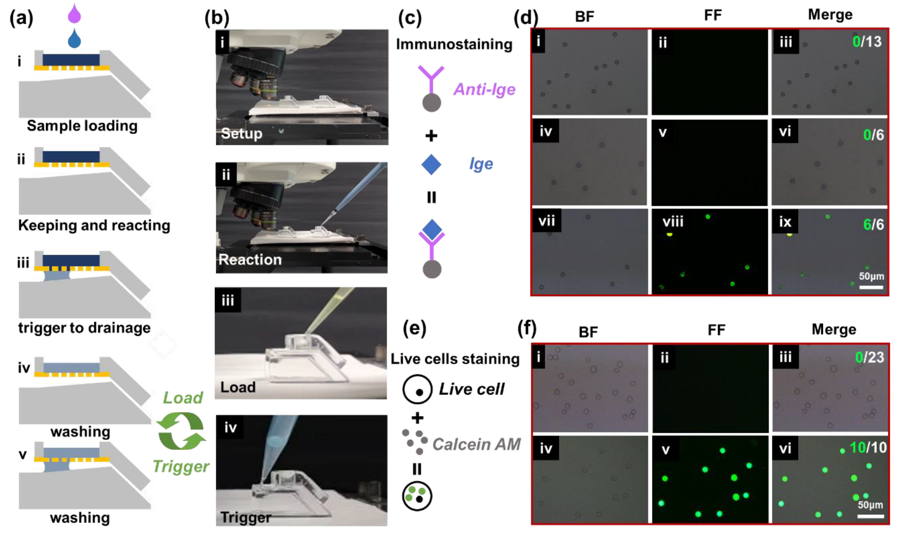 Biosensors 13 00026 g007